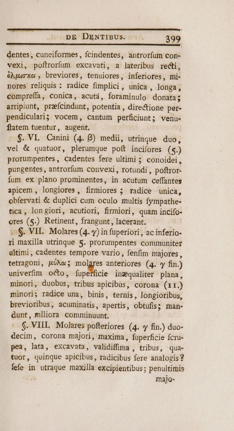 dentes, cuneiformes, fcindentes, antrorfum con- vexi, poftrorfum excavati, a lateribus recti, oNjucxo:, breviores, tenuiores, inferiores, mi- nores reliquis : radice fimplici, unica , longa; comprefía, conica, .acutà, foraminulo donata; arripiunt, praefcindunt, potentia , directione per- pendiculari; vocem, cantum perficiunt; venu- flatem tuentur, augent. — $. VI. Canini (4. 8) medii, utrinque duo, vel &amp; quatuor, plerumque poft incifores (5s.) prorumpentes, cadentes fere ultimi 5 conoidei, pungentes, antrorfum convexi, rotundi, poftror- íum ex plano prominentes, in acutum ceffantes apicem , longiores, firmiores 5 radice unica, obfervati &amp; duplici cum oculo multis fympathe- tica, longiori, acutiori, firmiori, quam incifo- ores (5.) Retinent, frangunt , lacerant, . S. VIL. Molares (4. y) in fuperiori , ac inferio- ri maxilia utrinque S. prorumpentes communiter ultimi, cadentes tempore vario, fenfim majores , tetragoni, MÓAo; — anteriores (4. «y fin.) univerfim octo, íupefficie inzequaliter plana, minori, duobus, tribus apicibus, corona (11.) minori; radice una, binis, ternis, longioribus, brevioribus, acuminatis, apertis, obtufis; man- dunt, mlliora comminuunt, - $. VIII. Molares pofteriores (4. y fin.) duo- decim, corona majori, maxima, fuperficie fcru- pea, lata, excavata, validiffima , tribus, qua- tuor, quinque apicibus, radicibus fere analogis ? lefe in utraque maxilla excipientibus; penultimis ' majo-