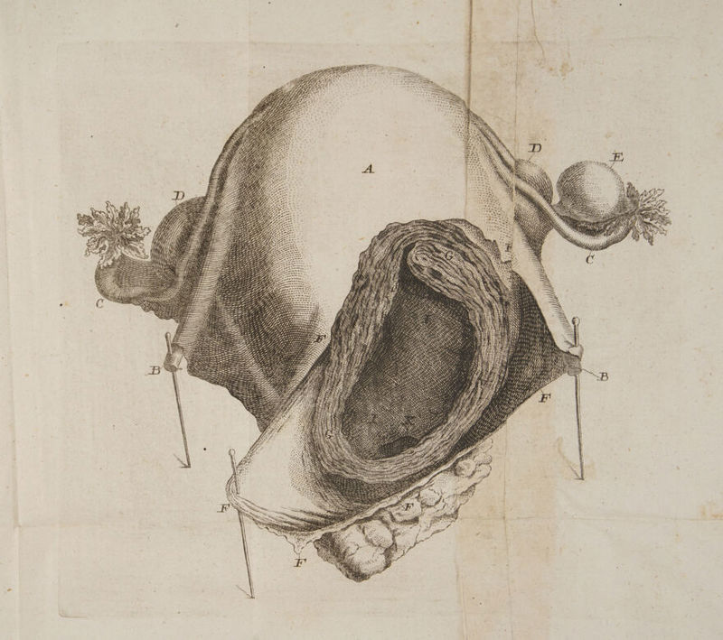 NRNNS NS M ANN S N AN N NX NN AN zou ry Lr LA 7 , Z 1, wir rir p, Ld ^ 4 vro. itl 777 1 7j, / / A^ co; i Am !