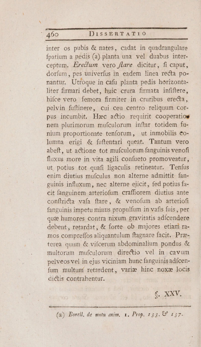 inter os pubis &amp; nates, cadat in quadrangulare fpatium a pedis (a).planta una vel duabus inter-. ceptum. Zrecum vero flare dicitur, fi caput, dorfum, pes univerfus in eadem linea recta po- nantur. Utroque in cafu planta pedis horizonta- liter firmari debet, huic crura firmata infiftere, hifce vero femora firmiter in cruribus erecta, pelvin fuflinere, cui ceu centro reliquum cor- pus incumbit, Hsc actio requirit cooperatiow nem plurimorum mufculorum inftar totidem fu- nium proportionate tenforum, ut inmobilis eco- lumna erigi &amp; fuftentari queat. lantum vero abeft, ut actione tot mufculorum fanguinis venofi . fluxus more in vita agili confueto promoveatur, ut potius tot quafi ligaculis retineatur. Tenfus enim diutius mufculus non alterne admittit fan- guinis influxum, nec alterne ejicit, fed potius fa- cit fanguinem arteriofum craffiorem diutius ante conftricta vafa ftare, &amp; venofum ab arteriofi fanguinis impetu minus propulfum in vafis fuis , per quie humores contra nixum gravitatis adícendere debent, retardat, &amp; forte. ob majores etiam ra- mos compreffos aliquantulum ftagnare facit. Prz- terea quum &amp; vifcerum abdominalium pondus &amp; multoram mufculorum directio vel in. cavum pelveos vel in ejus viciniam hunc fanguinis adfcen- fum multumí retardent, varie hinc noxz locis dictis contrahentur. | €. XXV. (a) Borell. de motu anim. 1. Prop. 133. &amp;7 157.