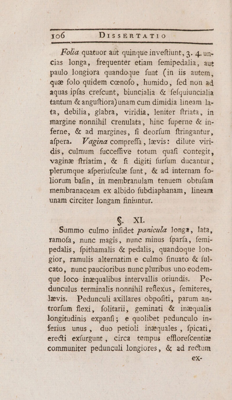 Folia quatuor aàt quinque inveftiunt, 3. 4. un- cias longa, frequenter etiam femipedalia, aut paulo longiora quandoque funt (in iis autem, quie folo quidem ccenofo, humido, fed non ad aquas ipfas crefcunt, biuncialia &amp; feíquiuncialia tantum &amp; anguftiora) unam cum dimidia lineam la- ta, debilia, glabra, viridia, leniter ftriata, in margine nonnihil crenulata, hinc fuperne &amp; in- ferne, &amp; ad margines, fi deorfum ftringantur, afpera. Vagina compreffa, levis: dilute viri- dis, culmum fucceffive totum quafi contegit, vaginz ftriatim, &amp; fi digiti furfum ducantur, plerumque afperiufculze funt, &amp; ad internam fo- liorum bafin, in membranulam tenuem obtuíam membranaceam ex albido fubdiaphanam, lineam unam circiter longam finiuntur. E ONE Summo culmo e panicula longa, lata, ramofa, nunc magis, nunc minus Íparía, femi- pedalis, fpithamalis &amp; pedalis, quandoque lon- gior, ramulis alternatim e culmo finuato &amp; ful- cato, nunc paucioribus nunc pluribus uno eodem- que loco inzqualibus intervallis oriundis. — Pe- dunculus terminalis nonnihil reflexus, femiteres, levis. Pedunculi axillares obpofiti, parum an- trorfum flexi, folitarii, geminati &amp; insequalis longitudinis expanfi; e quolibet pedunculo in- ferius unus, duo petioli inzquales , fpicati, ere&amp;i exfurgunt, circa tempus efllorefcentize communiter pedunculi longiores, &amp; ad rectum ex-