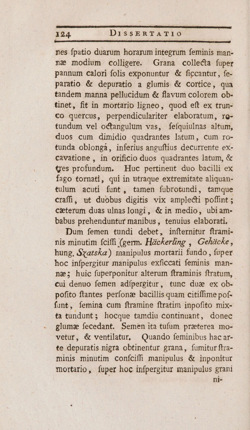 m———————————————————— ÉBÉEIEmH nes fpatio duarum horarum integrum feminis man- nz modium colligere. Grana collecta fuper pannum calori folis exponuntur &amp; ficcantur, fe- paratio &amp; depuratio a glumis &amp; cortice, qua tandem manna pellucidum &amp; flavum colorem ob- tinet, fit in mortario ligneo, quod eft ex trun- CO quercus, perpendiculariter elaboratum, rg- tundum vel octangulum vas, fíefquiulnas altum, duos cum dimidio quadrantes latum, cum ro- tunda oblonga, inferius anguftius decurrente ex- cavatione , in orificio duos quadrantes latum, &amp; tes profundum. Huc pertinent duo bacilli ex fago tornati, qui in utraque extremitate aliquan- tulum acuti funt, tamen fubrotundi, tamque craffi; ut duobus digitis vix amplecti poffint ; Caeterum duas ulnas longi, &amp; in medio, ubiam- babus prehendunfur manibus, tenuius elaborati, Dum femen tundi debet, infternitur ftrami- nis minutim íciffi (germ. Haekerling , Gehücke, hung, $xatska) manipulus mortarii fundo , fuper hoc infpergitur manipulus exficcati feminis man- - na; huic fuperponitur alterum ftraminis ftratum,- €ui denuo femen adípergitur, tunc duz ex ob- pofito ftantes perfonze bacillis quam citiffime pof- funt, femina cum ftramine ftratim inpofito mix- ta tundunt ; hocque tamdiu continuant, donec glumae fecedant. Semen ita tufum przterea mo- vetur, &amp; ventilatur, Quando feminibus hac ar- te depuratis nigra obtinentur grana, fumitur ftra- minis minutim confciffi manipulus &amp; inponitur mortario, [uper hoc infpergitur manipulus grani ni-