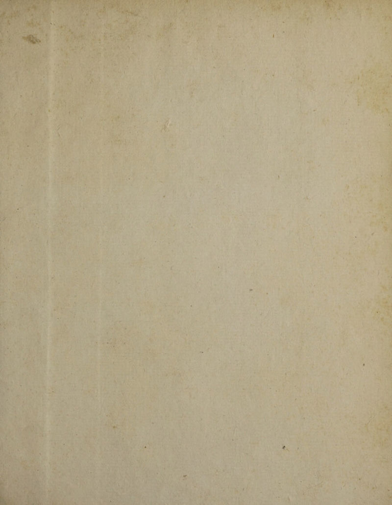 • A ' ‘r ' ' j i I •V. * 4 . r / \ Qr. i i* i i f. f i • > ✓