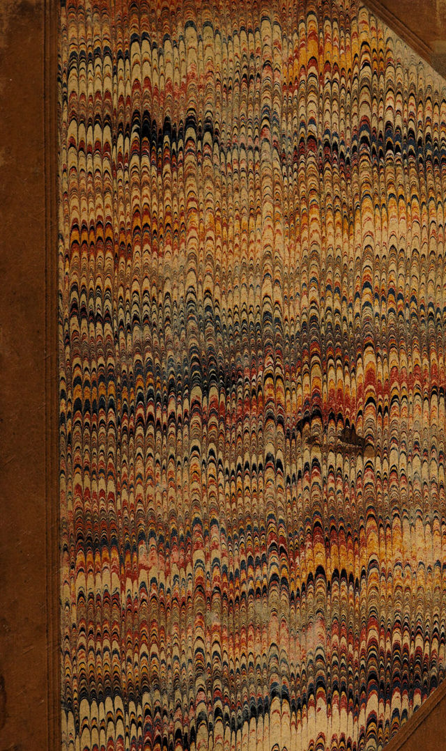 No text description is available for this image