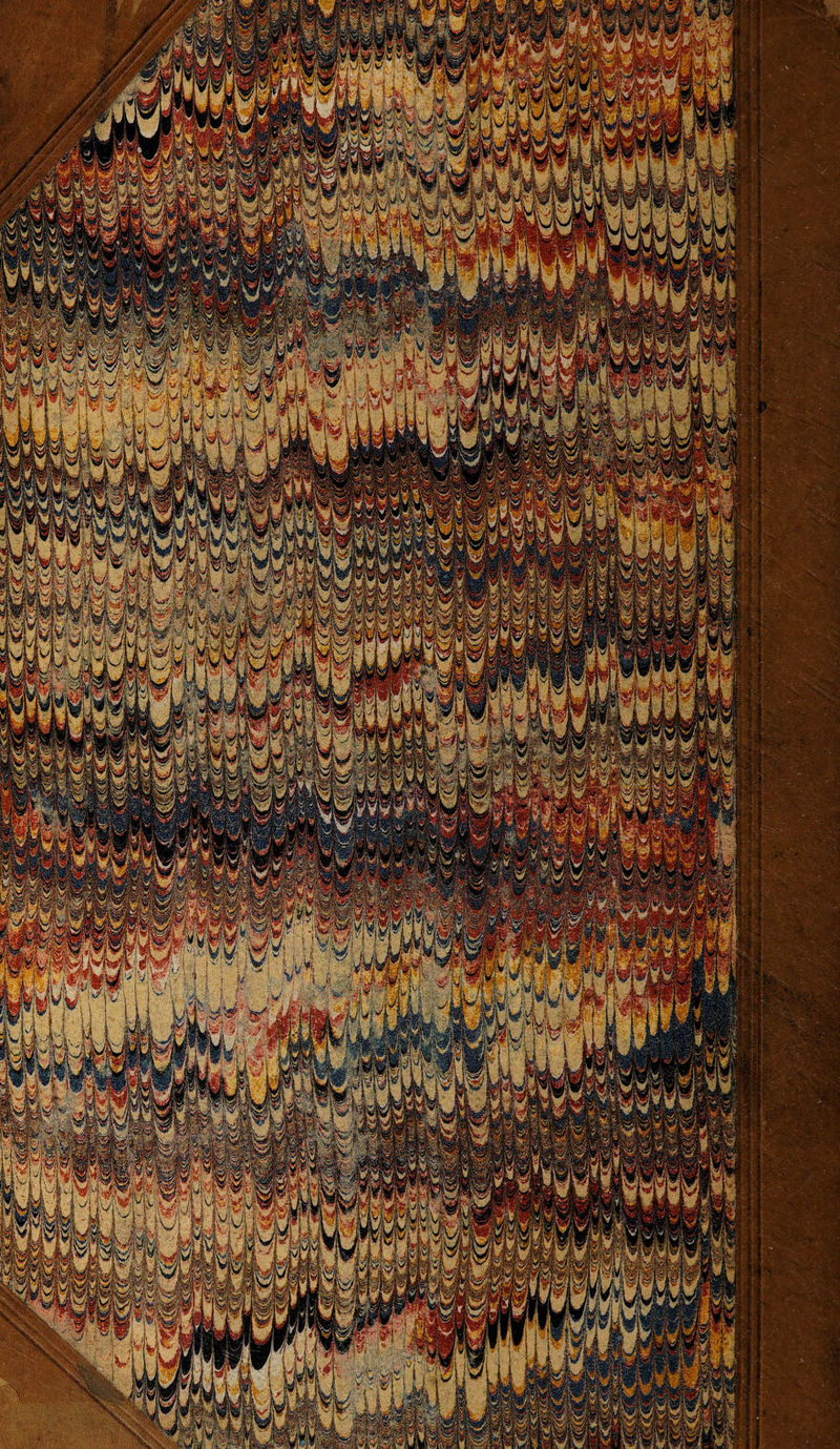 No text description is available for this image