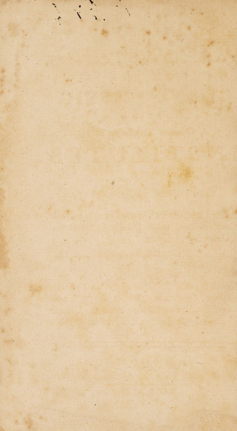 ♦ J *,> * * »*• if L.VI 'A- . % ( \