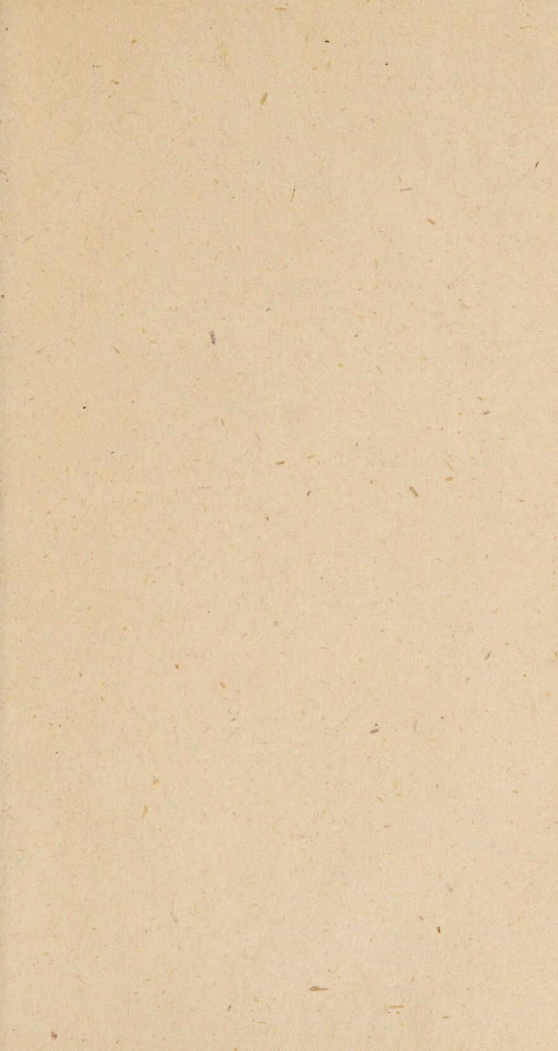 / f V > *. \ \ f * * •>/ i X *