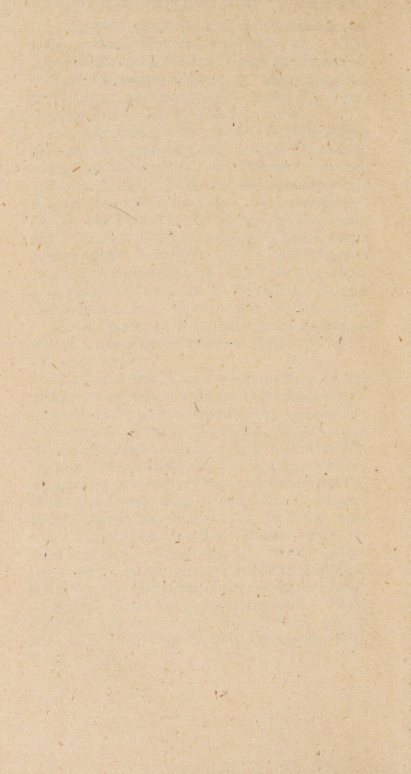 t \ * r i i • 4 \ s ( / I 0 \ ft / \ I / / I t > « ( * • ' ? • . \ 4 \ *