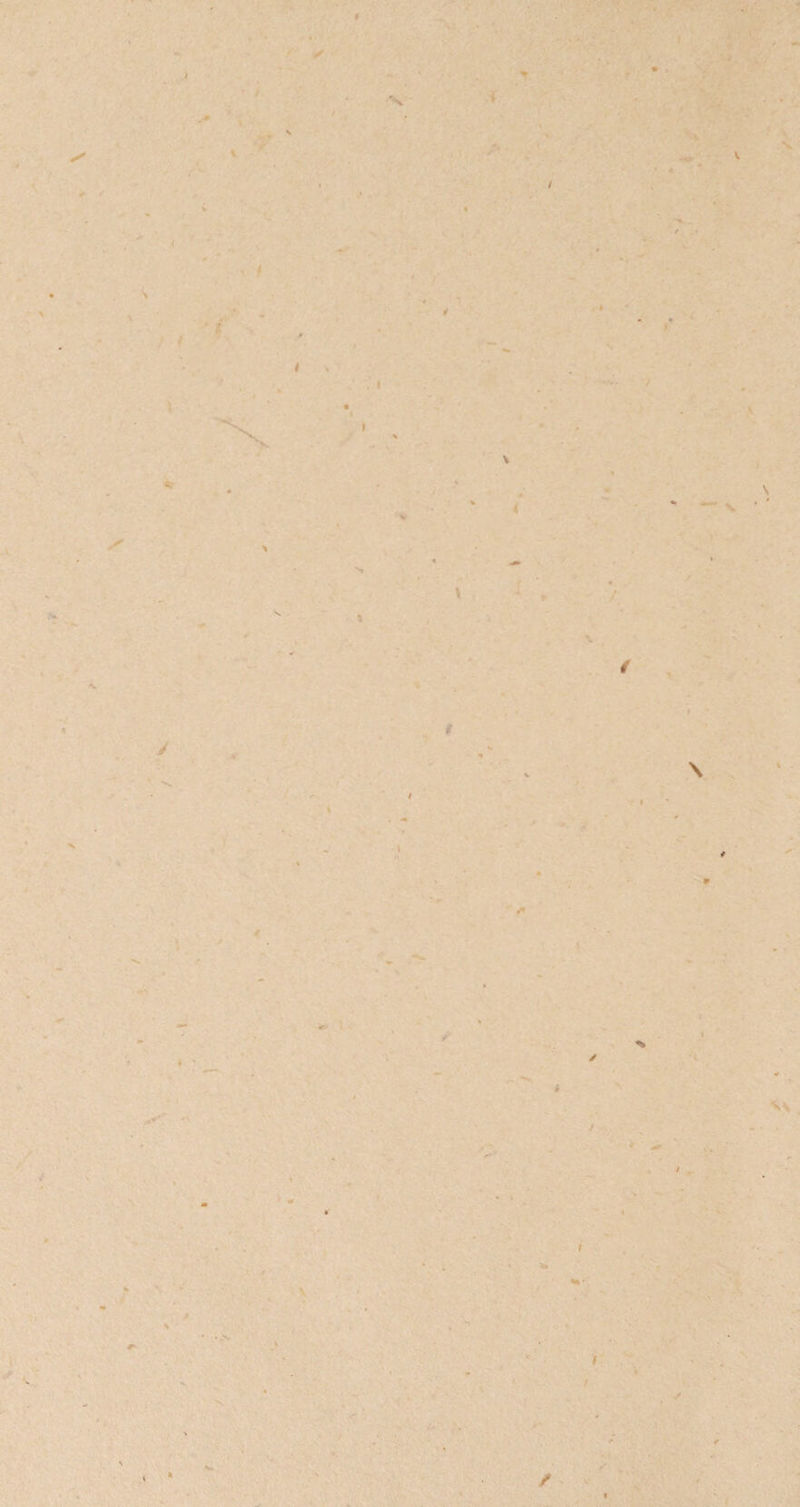 » * I • i r * t 4 < * r / f '■ ,