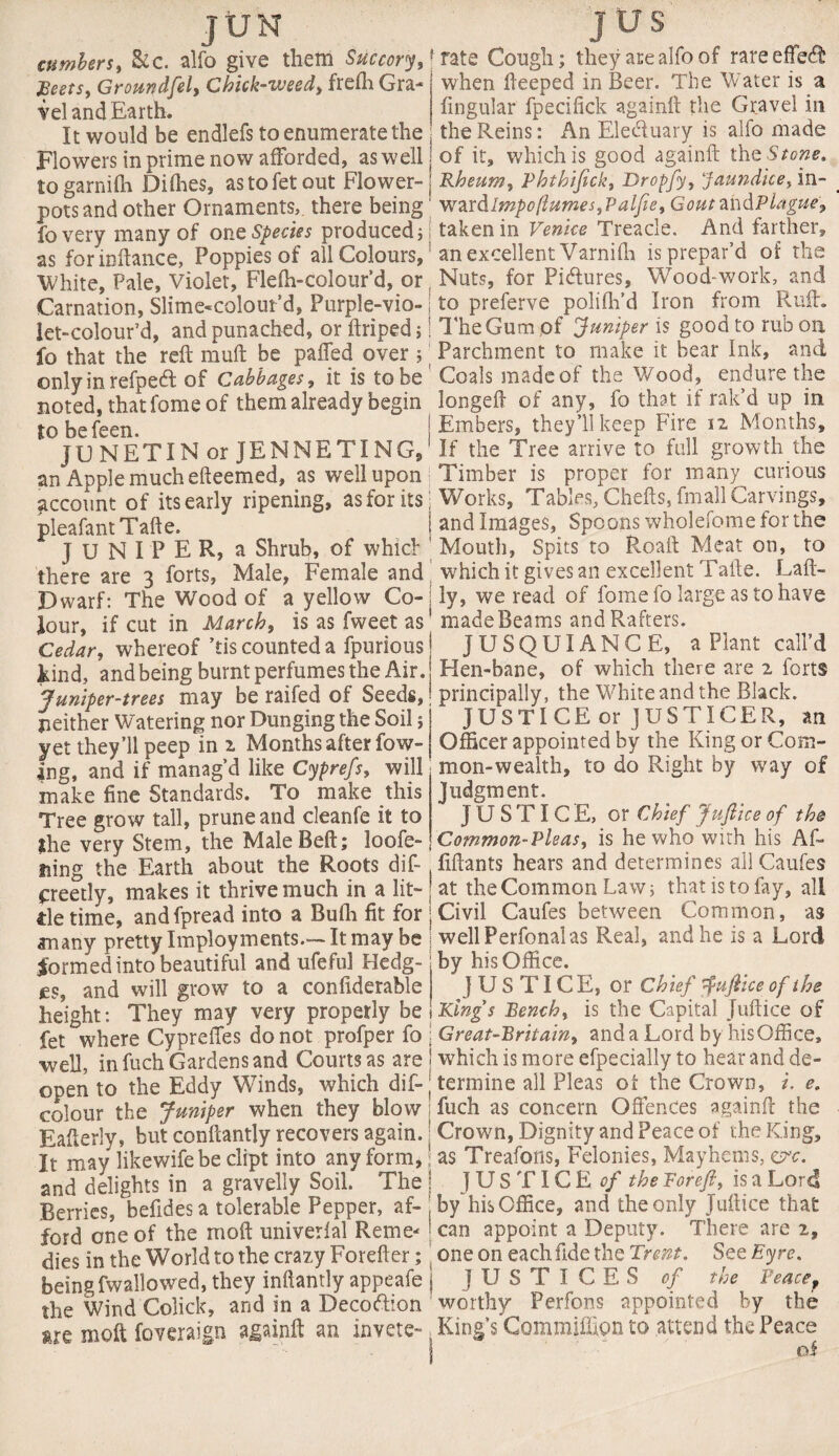 JUM cumbers, &c. alfo give them Succory, ,'Beets, Groundfel, Chick-weed, frefh Gra¬ vel and Earth. It would be endlefs to enumerate the Flowers in prime now afforded, as well to garnifh Difhes, astofetout Flower¬ pots and other Ornaments, there being fovery many of one Species produced; as forinftance, Poppies of all Colours, White, Pale, Violet, Flefh-colour’d, or Carnation, Slime«colour’d, Purple-vio- let-colour’d, and punached, or ftriped j fo that the reft muft be palled over 5 onlyinrefpecft of Cabbages, it is to be noted, that fome of them already begin to befeen. JUNETIN or JENNETING, an Apple much efteemed, as well upon account of its early ripening, as for its pleafantTafte. JUNIPER, a Shrub, of which there are 3 forts, Male, Female and Dwarf: The Wood of a yellow Co¬ lour, if cut in March, is as fweet as Cedar, whereof ’tis counted a fpurious kind, and being burnt perfumes the Air. Juniper-trees may be railed of Seeds, neither Watering nor Dunging the Soil ; yet they’ll peep ini Months after low¬ ing, and if manag’d like Cyprefs, will make fine Standards. To make this Tree grow tall, prune and cleanfe it to the very Stem, the MaleBeft; loofe- ning the Earth about the Roots dif- creetly, makes it thrive much in a lit¬ tle time, andfpread into a Bufli fit for many pretty Imployments.— It may be formed into beautiful and ufeful Hedg¬ es, and will grow to a confiderable height: They may very properly be fet where CyprelTes do not profper fo well, in fuch Gardens and Courts as are open to the Eddy Winds, which dis¬ colour the Juniper when they blow Eafterly, but conftantly recovers again. It may likewife be dipt into any form, and delights in a gravelly Soil. The Berries, beftdes a tolerable Pepper, af¬ ford one of the rrioft univerfal Reme¬ dies in the World to the crazy Forefter; beingfwailowed, they inftantly appeafe the Wind Colick, and in a Decoftion »re molt foveraign againft an invete- j US rate Cough; they are alfo of rare effect when fteeped in Beer. The Water is a ftngular fpecifick againft the Gravel in the Reins: An Ele&uary is alfo made of it, which is good againft the Stone. Rheum, Phthifick, Dropfy, Jaundice, in- wardlmpo[iumes,Palfie, GoutzhdPlague, taken in Venice Treacle. And farther, an excellent Varnifh is prepar’d of the Nuts, for Pi&ures, Wood-work, and to preferve polifh’d Iron from Ruft. The Gum pf Juniper is good to rub on Parchment to make it bear Ink, and Coals made of the Wood, endure the longeft of any, fo that if rak’d up in Embers, they’ll keep Fire 12 Months, If the Tree arrive to full growth the Timber is proper for many curious Works, Tables, Chefts, fmall Carvings, and Images, Spoons wholefome for the Mouth, Spits to Roaft Meat on, to which it gives an excellent Tafte. Laft- ly, we read of fome fo large as to have madeBeams and Rafters. JUSQUIANCE, a Plant call’d Hen-bane, of which there are 2 forts principally, the White and the Black. JUSTICE or JUSTICER, an Officer appointed by the King or Com¬ mon-wealth, to do Right by way of Judgment. JUSTICE, or Chief Juftice of the Common-Pleas, is he who with his Af- fiftants hears and determines all Caufes at the Common Law; that is to fay, all Civil Caufes between Common, as wellPerfonalas Real, and he is a Lord by his Office. JUSTICE, or Chief Juftice of the Kings Bench, is the Capital Juftice of Great-Britain, and a Lord by Iris Office, which is more efpecially to hear and de¬ termine all Pleas of the Crown, i. e. fuch as concern Offences againft the Crown, Dignity and Peace of the King, as Treafons, Felonies, Mayhems, e?c. JUSTICE of the Boreft, is a Lord by his Office, and the only Juftice that can appoint a Deputy. There are 2, one on each fide the Trent. See Eyre. J USTICES of the Peace, worthy Perfons appointed by the King’s Commiffipn to attend the Peace of
