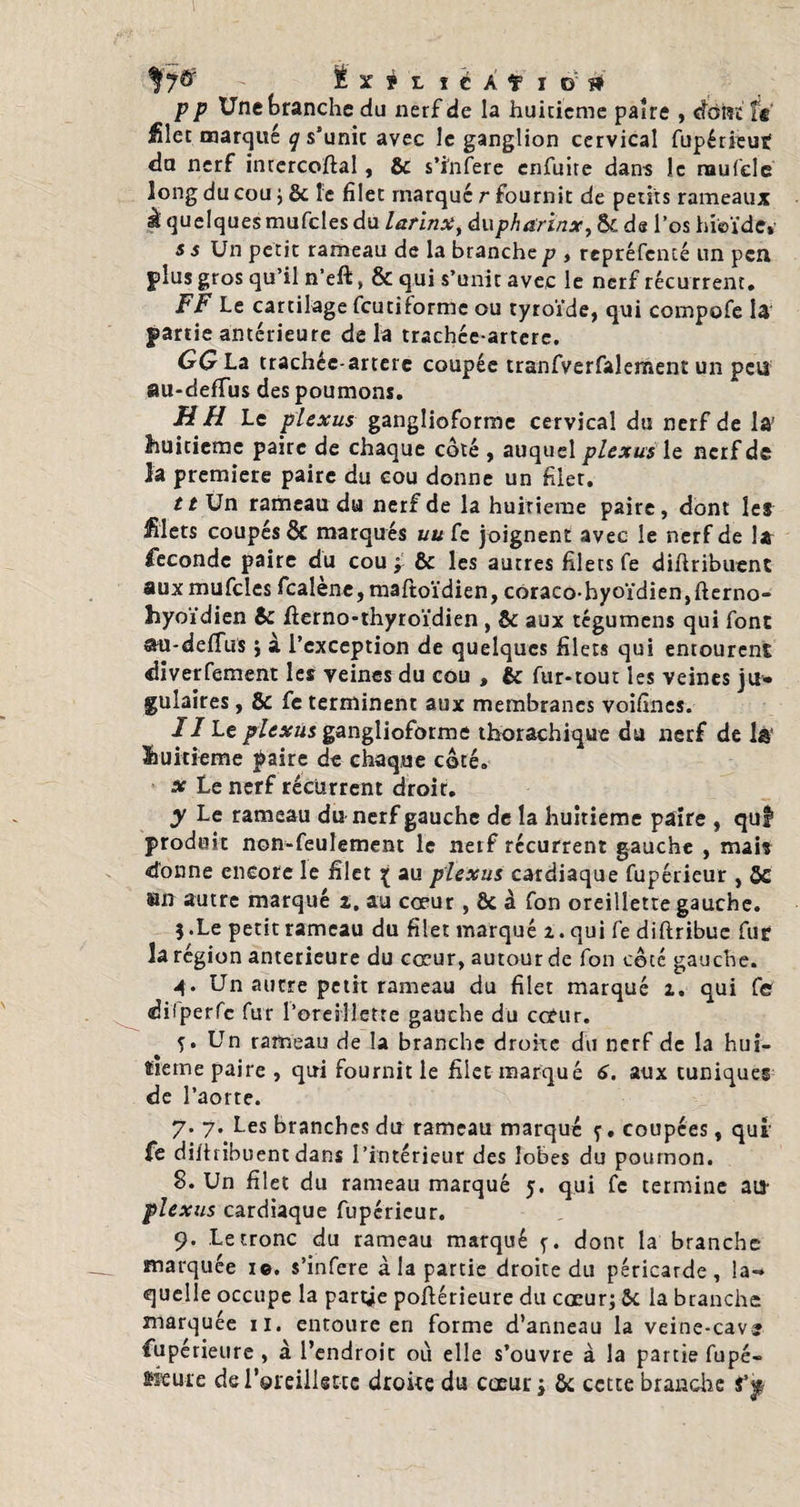 \ f 7^ I X ? L f é A Î I ©■' » p p Une branche du nerf de la huitième paire , ckîiîï te filet marqué q s’unic avec le ganglion cervical fupérieut da nerf intercoftal, & s’ïnfere enfuite dans le rnufclc long du cou j 6c le filet marque r fournit de petits rameaux à quelques mufcles du larinx, dupharinx, 8c de l’os hieïde* s s Un petit rameau de la branche p , repréfencé un peu plus gros qu’il n’eft, & qui s’unit avec le nerf récurrent. FF Le cartilage feuti forme ou tyroïde, qui compofe U partie antérieure de la trachée-arterc. GG La trachée-arterc coupée tranfverfalement un peu au-deffus des poumons. H // Le plexus ganglioforme cervical du nerf de la! huitième paire de chaque côté , auquel plexus le nerf de h premiere paire du cou donne un filer. tt Un rameau du nerf de la huitième paire, dont les filets coupés & marqués uu fe joignent avec le nerf de 1» fécondé paire du cou y & les autres filets fe diflribuent aux mufcles fcalene, maftoïdien, côraco-hyoïdienjfferno- hyoïdien 6c Æerno-thyroïdien , 6c aux tégumens qui font au-deffus j à l’exception de quelques filets qui entourent diverfement les veines du cou , 6c fur-tout les veines ju¬ gulaires , Ôc fe terminent aux membranes voifines. //Le plexus ganglioforme thorachique du nerf de 1# huitième paire de chaque côté. sc Le nerf récurrent droit. y Le rameau du nerf gauche de la huitième paire , qui produit non-feulement le nerf récurrent gauche , mais dorme encore le filet \ au plexus cardiaque fupérieur , ôc fin autre marqué i. au cœur , & a fon oreillette gauche. j.Le petit rameau du filet marqué z.qui fe diftribue fur la région anterieure du cœur, autour de fon côté gauche. 4. Un autre petit rameau du filet marqué 1. qui fe dilperfe fur l’oreillette gauche du cœur. î» Un rameau de la branche droke du nerf de la hui¬ tième paire , qui fournit le filet marqué 6. aux tuniques de l’aorte. 7. 7. Les branches du rameau marqué f. coupées, qui fe difhibuent dans l’intérieur des lobes du poumon. 8. Un filet du rameau marqué 5. qui fc termine au plexus cardiaque fupérieur. 9. Le tronc du rameau marqué dont la branche marquée ie. s’infere à la partie droite du péricarde, la¬ quelle occupe la partie poftérieure du cœur; 6c la branche marquée xi. entoure en forme d’anneau la veine-cave fupérieure , à l’endroit où elle s’ouvre à la partie fupé- skure de l'oreillette droke du cœur j ôc cette brandie î’y