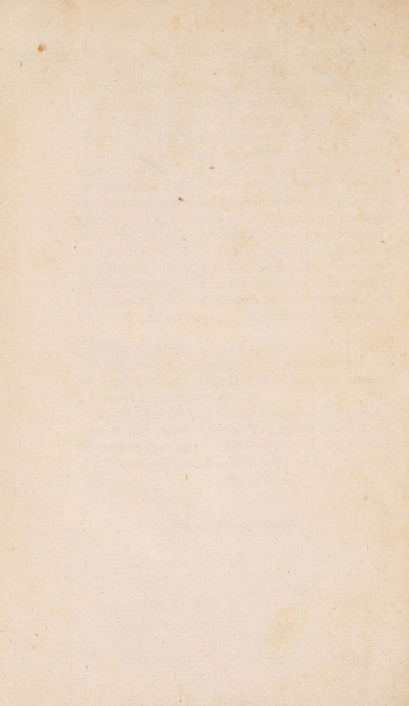 , . . -, I , I - ' ' • ,< .. * '; ' :