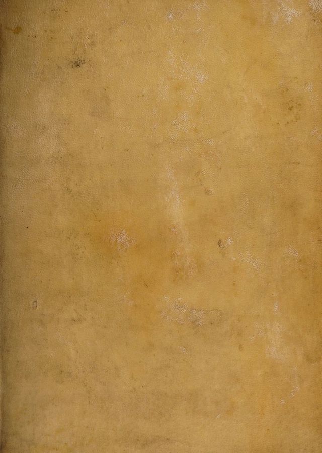 digitised image 1