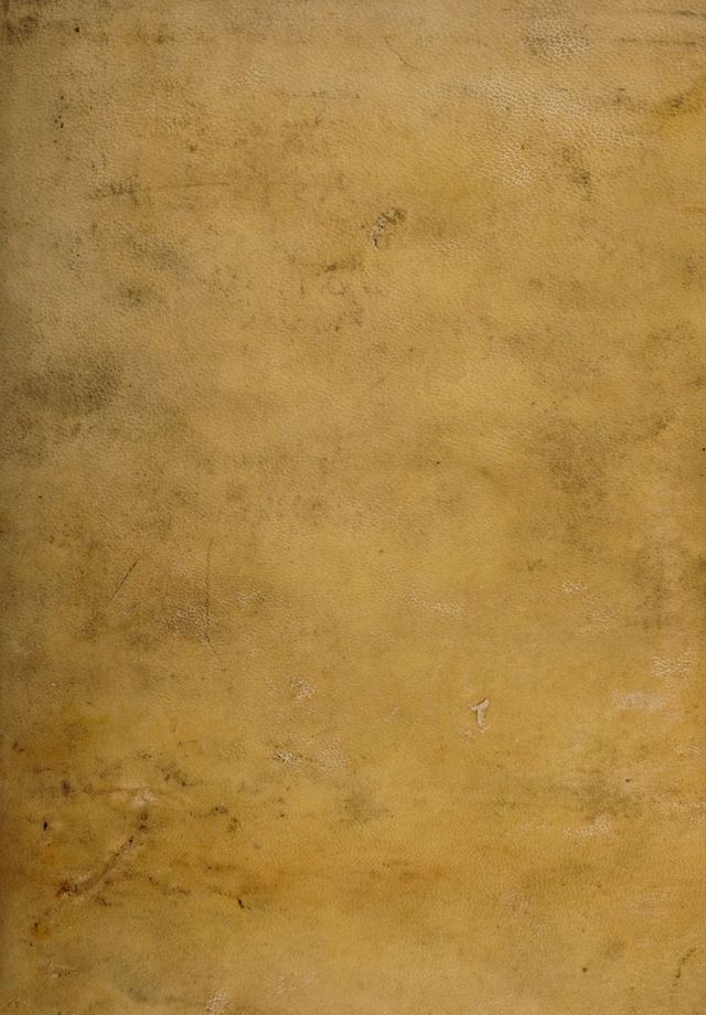 digitised image 1