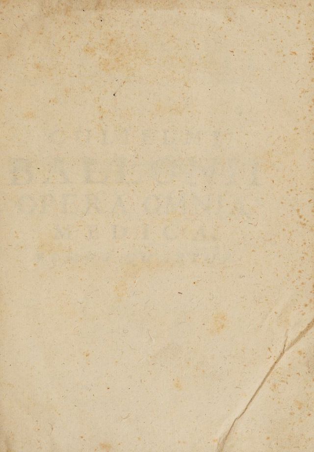 digitised image 3