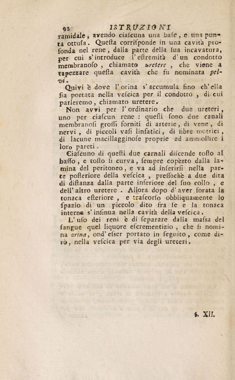 çi 1STRUZÎ0 NI ramidale * avendo ciafcuna una baie, e lina pnn«* ta ottufa. Quella corrifponde in una cavita pro¬ fonda nel rene, dalla parte della lua incavatura, per cui s'introduce l’eftremita d’un condotto membranofo , chiamato uretere , che viene a tapezzare quella cavita che fu nominata poh vi. Quivi e dove F orina s’accumula fino ch’ella fa portata nella vefcica per il condotto , di cui parleremo, chiamato uretere. Non avvi per l’ordinario che due ureteri , uno per ciafcun rene : queni fono due canali membranoli groffi forniti di arterie , di vene , di nervi , di piccoli vali linfatici, di fibre motrici , di lacune macillagginofe proprie ad ammollire i loro pareti. Giafcuno di quelli due carnali diicende toRo al baffo , e tollo lì curva, Tempre coperto dalla la¬ mina del peritoneo, e va ad inferirli nella par¬ te polleriore della vefcica , prelfoche a due dita di diflanza dalla parte inferiore del fuo collo , e dell’ altro uretere . Allora dopo d’ aver forata la tonaca elleriore , e tra (co rio obbliquamente lo fpazio di un piccolo dito fra le e la tonaca interne. $ inlìnua nella cavità delia velcica. L’ufo dei reni b di feparare dalia mafsa del fangue quel liquore efcrementizio , che li nomi¬ na orina, ond’efser portato in legni co , come di¬ rò, nella vefcica per via degli ureteri. \ §. XII.