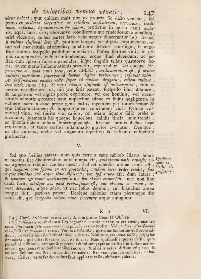 virus habeat; quae quidem mala non ex proprie fic difto veneno , fed potius ex violenta laceratione ac collifione mufculorum, nervorum , tendi-- vaforum, ligamentorum &amp; offium, prsefertim in morfu canis majo¬ ris , equi, lupi, urfi; aliorumve robuftiorum aut crudeliorum animalium, oriri videntur, quibus partes laefae vehementer dilacerantur (a). Itaque, fi vulnus ejufmodi leve eft, protinus fanguis vel digitis exprimendus, vel ore vel cucurbitula educendus; quod tanto felicius contingit, fi angu- ftius vulnus fcalpello paululum ampliatur. Poftea fpiritus vini, in pri¬ mis camphoratus, vulneri infundendus, eoque illud eluendum, ac po¬ ftea cum fplenio fuperimponendus, idque fingulis tribus quatuorve ho¬ ris, donec metus inflammationis prseteriit, repetendum. Sal quoque his , praecipue ei, quod canis fecit, tefte CELSO , medicamentum efi, fi aridus vulneri imponitur, fuperque id duobus digitis verberatur ; exfaniat enim . xsic falfamentum quoque refte fuper id vulnus deligatur, eodem authore , loco modo citato (b). Si vero vulnus ejufmodi efi vehementius , tum o- mnino neceftarium , ut, nifi jam fatis pateat, fcalpello illud dilatare , &amp; fanguinem vel digitis probe exprimere, vel ore hominis, vel cucur¬ bitulis admotis evocare: nam nuperrime adhuc ex hujus negligentia in vulnere puero a cane prope genu fado, ingentem per totum femur Sc crus inflammationem Sc fuppurationem concitatam vidi. Deinde vul¬ nus vel vino, vel fpiritu vini calido, vel etiam liquore falfo probe e- iuendum , linamenta his quoque liquoribus calidis tin&amp;a immittenda , ac fplenia iifdem imbuta fuperimponenda, haecque primis diebus faepe renovanda, ut tanto certius inflammatio gravior avertatur. Denique , ut alia vulnera, meile vel unguento digeftivo &lt;3c balfamo vulnerario glutinatur. V. Sed quo facilius pateat, num quis forte a cane rabiofo illatus horni- ni morfiis fit; difquirendum ante omnia eft, quibufnam notis rabiofus ca.Ku(lmodo nis digmfci a reliquis canibus queat . Scilicet rabiofus utique canis eft , qui linguam cum fipuma ex ore protendit; caudam inter pedes condit; fine Jnorc4r^y\ requie timidus huc atque illuc difcurrit; vox ipfi rauca eft, dum latrat , J 6c homines isr canes quofcunque alios fibi obvios extimefcit, nec non fine caufa furit, nihilque non quod propinquum eft, aut obvium ei venit , te¬ mere demordet, ufque adeo, ut nec ipfius domini , cui blanditus antea femper fuit, perfonse parcat. Denique rabiofus etiam plerumque ifte canis eft, quo confpefto reliqui canes terrentur atque aufugiunt. K 2 VI. [a ] Conf. Hildanus locis citatis', Sc cum primis Cent. II. Obf. 86. ( b ] SaLfamenti vocabulum a Lexicographis hucufque tantum pro rebus , quae ad ufum diuturnum fale condiuntur , ut pilees, carnes &amp; alix . Vid. Fabris Vveifmanni &amp; CafleLli five Brunonis lexica . Verum a CELSO , quem nullus horum auriorum ad¬ ducit , in verbis his alio fenfu adhiberi videtur. Nimirum pro aqua falfa , jalfugine fue muria, qua pifces Sc carnes condiri folent. Nam ejufmodi liquores falfi , quia putredini ref fiunt , camque &amp; praecavent &amp; tollunt ;apte ac utiliter in inflammatio¬ nibus , gangraena &amp; ambuftts adhiberi notum ,&amp; alias a nobis di&amp;um eft j ergo &amp; nullum dubium eos &amp; in his morfibus predefte . Res vero ipfas fale conditas , ut ha- tces, afellos* camcfve &amp;c. vulneribus applicare velle, abfonum videtur.