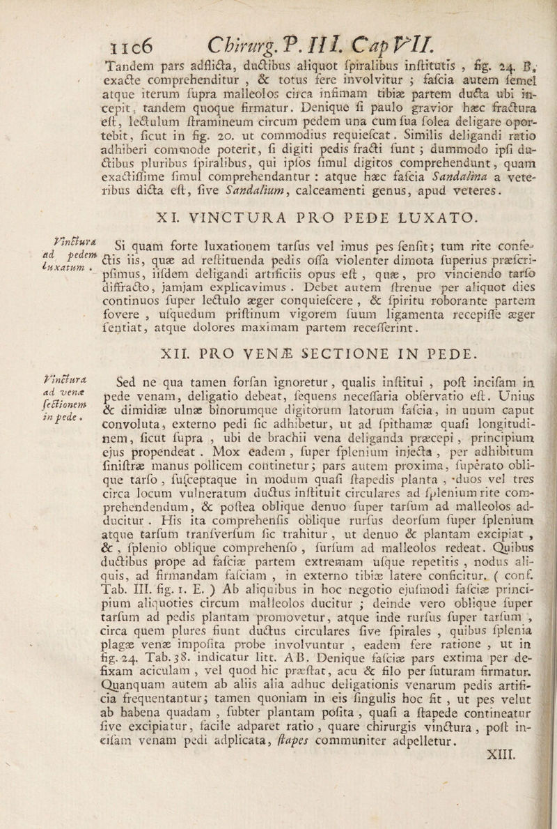 Tandem pars adfiida, dudibus aliquot fpiralibus inftltutis , fig. 24. B* exade comprehenditur , Sc totus fere involvitur ; fafcia autem femel atque iterum fupra malleolos circa infimam tibias partem duda ubi in¬ cepit., tandem quoque firmatur. Denique fi paulo gravior hase fradura eft, ledulum ftramineum circum pedem una cumfua folea deligare opor¬ tebit, ficut in fig. 20. ut commodius requiefcat. Similis deligandi ratio adhiberi commode poterit, fi digiti pedis fradi funt; dummodo ipfi du¬ lcibus pluribus fpiralibus, qui ipfos fimul digitos comprehendunt, quam exadiffime fimul comprehendantur : atque haec fafcia Sandalina a vete¬ ribus dida eft, five Sandalium, calceamenti genus, apud veteres, XI. VINCTURA PRO PEDE LUXATO. Vinctum gj quam forte luxationem tarfus vel imus pesfenfit; tum rite confe-* j Pe em c^is iis, quae ad reftituenda pedis offa violenter dimota fuperius praefer i- pfimus, iifdem deligandi artificiis opus eft, quae, pro vinciendo tarfb diffrado, jamjam explicavimus . Debet autem ftrenue per aliquot dies continuos fuper ledulo aeger conquiefcere , &amp; fpiritu roborante partem fovere , ufquedum priftinum vigorem fuum ligamenta recepifte seger fentiat, atque dolores maximam partem receiTerint. XII. PRO VENiE SECTIONE IN PEDE. Vinctura, ad vence feffionem in pede « Sed ne qua tamen forfan ignoretur, qualis inftitui , poft incifam in pede venam, deligatio debeat, fequens neceffaria obfervatio eft. UniUjS Sc dimidiae ulnae bfnorumque digitorum latorum fafcia, in unum caput convoluta, externo pedi fic adhibetur, ut ad fpithamae quafi longitudi¬ nem, ficut fupra , ubi de brachii vena deliganda praecepi, principium ejus propendeat . Mox eadem , fuper fplenium injeda , per adhibitum finiftrae manus pollicem continetur; pars autem proxima, fuperato obli¬ que tarfo , fufeeptaque in modum quafi ftapedis planta , 'duos vel tres circa locum vulneratum dudus inftituit circulares ad fplenium rite com¬ prehendendum, Sc poftea oblique denno fuper tarfum ad malleolos ad¬ ducitur . His ita comprehenfis oblique rurfus deorfum fuper fplenium atque tarfum tranfverfum fic trahitur , ut denno Sc plantam excipiat , Sc , fplenio oblique comprehenfo , furfum ad malleolos redeat. Quibus dudibus prope ad fafeiae partem extremam ufque repetitis , nodus ali¬ quis, ad firmandam fafeiam , in externo tibias latere conficitur. ( conf. Tab. III. fig. 1. E. ) Ab aliquibus in hoc negotio ejufmodi fafcia princi¬ pium aliquoties circum malleolos ducitur ; deinde vero oblique fuper tarfum ad pedis plantam promovetur, atque inde rurfus fuper tarfum , circa quem plures fiunt dudus circulares five fpirales , quibus lplenia plagae venae impofita probe involvuntur , eadem fere ratione , ut in fig. 24. Tab. 38. indicatur litt. AB. Denique fafcioe pars extima per de¬ fixam aciculam , vel quod hic prseftat, acu Sc filo per futuram firmatur. Quanquam autem ab aliis alia adhuc deligationis venarum pedis artifi¬ cia frequentantur; tamen quoniam in eis fingulis hoc fit , ut pes velut ab habena quadam , fubter plantam polita , quafi a ftapede contineatur five excipiatur, facile adparet ratio, quare chirurgis vindura , poft in¬ cifam venam pedi adplicata, (lapes communiter adpelletur. XIII.