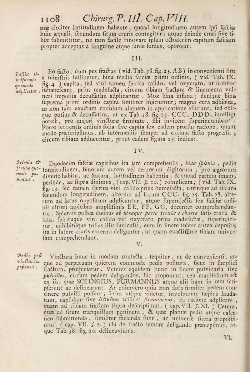 mas circiter latitudinem habente , quoad longitudinem autem ipfi fafciap' huic aequali, fecundum fitum cruris contegitur, atque deinde cruri five ti¬ biae fubmittitur, ne tam facile innovare ipfam o&amp;odecim capitum fafciam propter acceptas a fanguine atque lanie fordes, oporteat, III. Tardt ii Eo fa&amp;o, dum pes fradlus (vid.Tab. 58.%. 25. AB) in convenienti fitit briformis' a m^iftris fuflinetur, bina media fafciae primi ordinis, ( vid. Tab. IX. qulmodo fig-4- ) capita, fed vini tamen fpiritu calido, vel oxycrato, ut firmiter aiplicQtnr. mhserefcant, prius madefadla, circum tibiam fra&amp;am &amp; linamenta vul¬ neri impofita decuflatim adplicantur . Mox bina infima ; denique bina fuprema primi ordinis capita fimiliter injiciuntur; magna cura adhibita, ut non tam exadum circulum aliquem in applicatione efficiant, fed obli¬ que potius &amp; deculfatim, ut ex Tab. 38. fig. 25. CCC, DD D, mtelligi poteft , pro majori vindurae firmitate , fibi invicem fuperincumbant . Porro fequentis ordinis folia five capita fex eadem prorfus ratione, quam modo praefcripfimus, ab intermediis femper ad extima fado progrefifu s circum tibiam adducuntur, prout eadem figura 25. indicat, IV. Splenia &amp; p)uodecim fafciae capitibus ita jam comprehenfis , bina fplema , pedi^ }cml*quo- longitudinem, binorum autem vel. ternorum digitorum , pro aegrorum mo(,o p. jjverfGhabitu, ac flatura, latitudinem habentia ,&amp;quoad partem imam, perinde, ac fupra diximus , (cap. VII. Jf. ro.) complicata; (vid. Tab. IX» fig. 15, fed tamen fpiritu vini calido prius humefada, utrinque ad tibiam fecundum longitudinem, alterum ad locum CCC, fig. 25. Tab. 28. alte¬ rum ad latus oppofitum adplicantur , atque fupernjedis fex fafciae ordi¬ nis ultimi capitibus ampliifimis EE, FF, GG, decenter comprehendun¬ tur. Spleniis poftea duobus ab utraque parte ferul&lt;e e charta fatis craffa dt lata, fpirituque vini calido vel oxycrato prius madefafbc , fuperinjici- tur, adhibitifque tribus illis funiculis, eum in finem fubter antea depofitis ita in latere cruris externo deligantur , ut quam exa&amp;ifiime tibiam univer- fam comprehendant,. V. Te dis pofi •vinEturam pofitura . Vin&amp;ura hunc in modum confedha , fequitur , ut de convenienti , at*' que ad perpetuam quietem commoda pedis politura , ficut in fimplicl fradhira, profpiciatur . Veteres equidem hunc in finem pulvinaria five pulvillos, circum pedem deligandos, hic proponunt, ceu manifellum eft ex iis, quae SOLINGIUS, PURMANNUS atque alii hanc in rem feri- pferunt ac delinearunt. At enim vero quia non fatis firmiter pedem con¬ tinere pulvilli poliunt; fatius utique videtur, involucrum faspius lauda¬ tum, capfulam five leBulum fcilicet firamineum , ea ratione adplicare 3 quam ad tibiam fra&amp;am fupra defcripfimus. ( cap. VII. jf. XI. ) Cetera, quae ad fitum tranquillum pertinent , &amp; quae plantae pedis atque calca¬ neo fubmittenda , fimiliter facienda funt , ac univerfe fupra propofui- mus, ( cap. VII. i. 2. ) ubi de fratlo femore deligando praecepimus, at¬ que Tab.58. fig. 20. delineavimus. VL