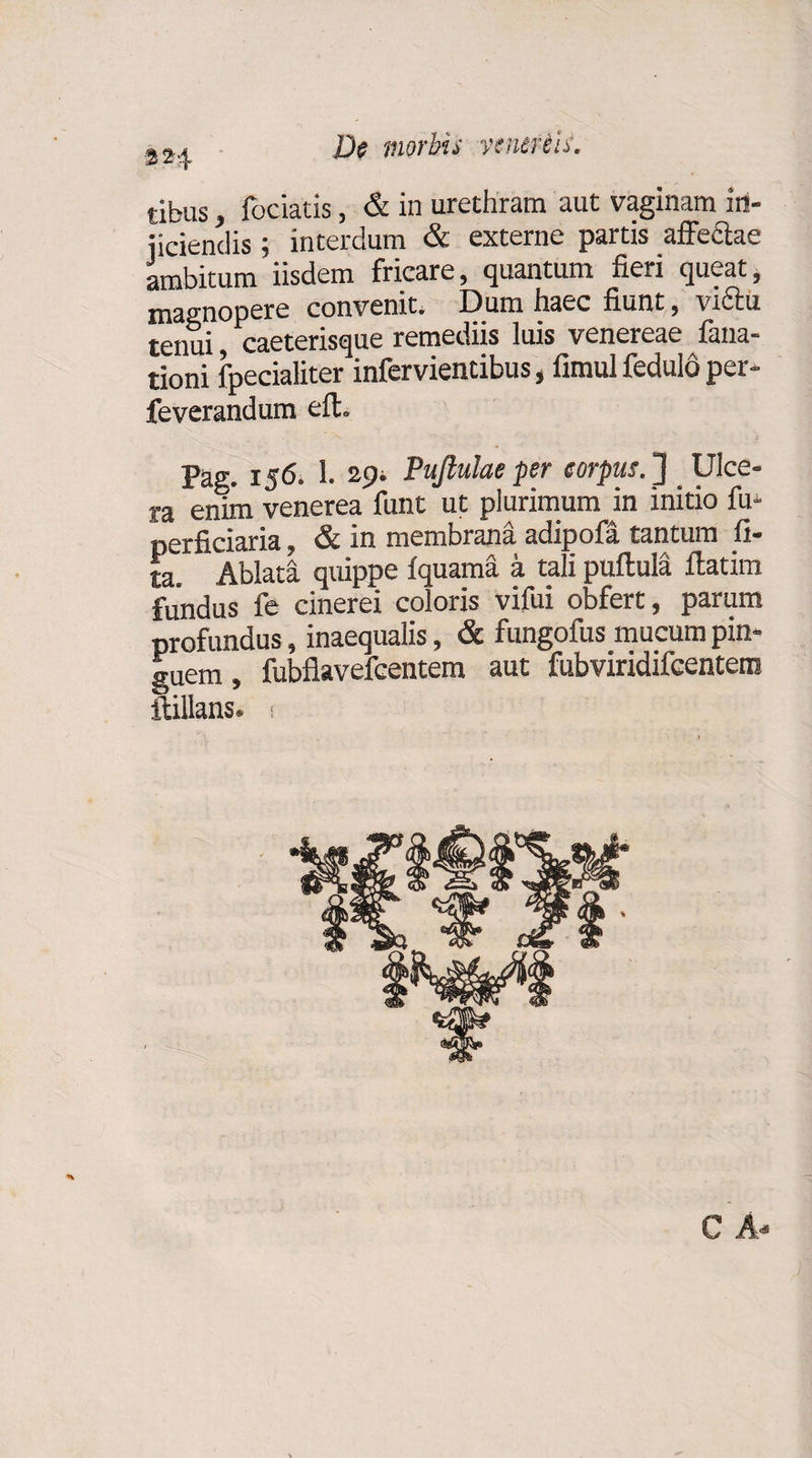 s2.| De morbis vcnerili. tibus, fociatis, &amp; in urethram aut vaginam in¬ jiciendis ; interdum &amp; externe partis allectae ambitum iisdem fricare, quantum fieri queat, magnopere convenit; Dum haec fiunt, victu tenui, caeterisque remediis luis venereae fana- tioni fpecialiter inferviencibus, fimul fedulo per- feverandum eft. Pag. 156. 1. 29. Puftulae per corpus, j Ulce¬ ra enim venerea funt ut plurimum in initio fu* perficiaria, &amp; in membrana adipofa tantum fi- ta. Ablata quippe Iquama a tali pullula ftatim fundus fe cinerei coloris vifui obfert, parum profundus, inaequalis, &amp; fungofus mucum pin¬ guem , fubflavefcentem aut fubviridifeentem ftillans.