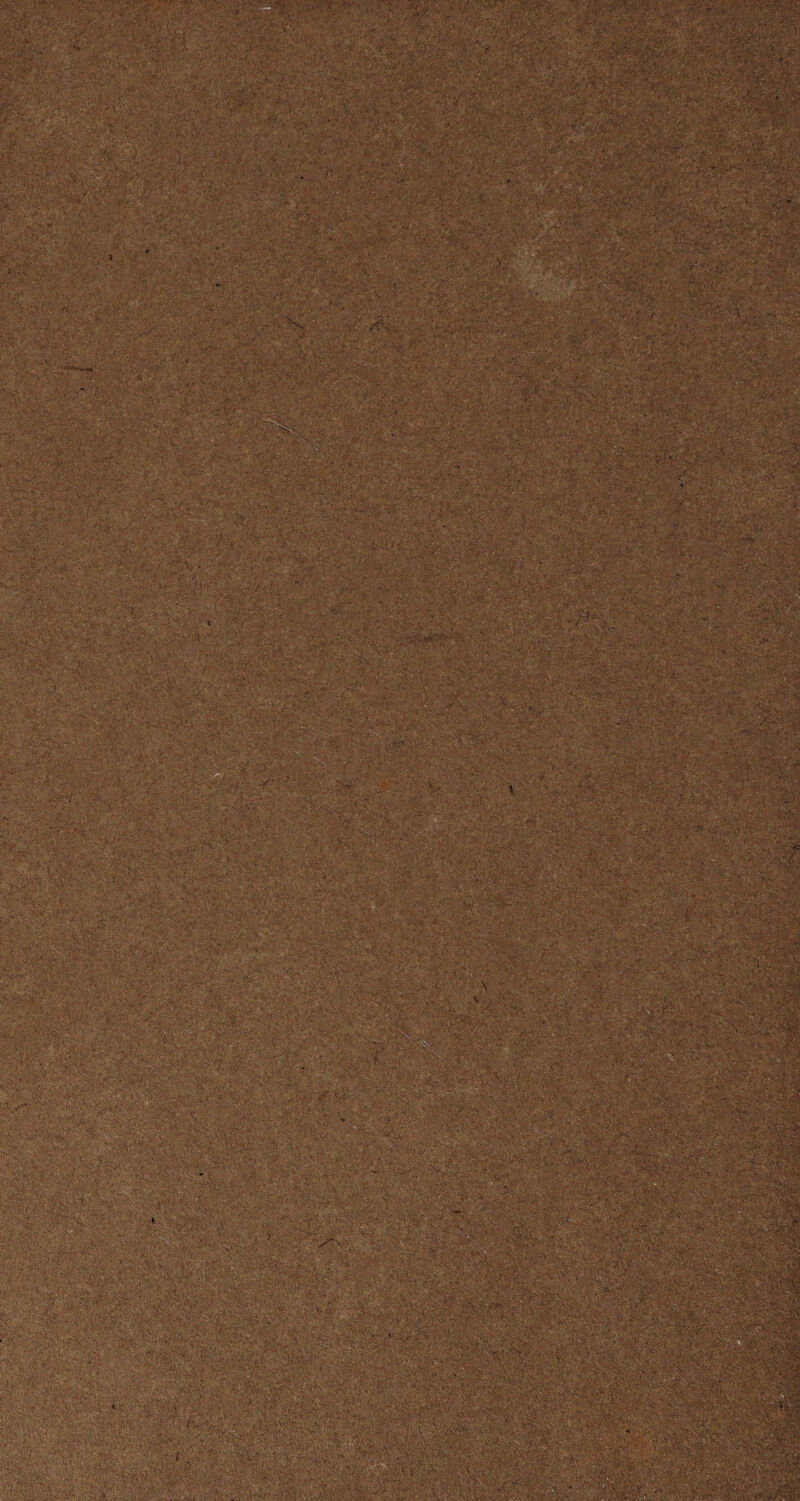 ?vy'.yjv-. ^ v > •/■.. . - •;■ '•■£. - ' • ;^v’- *,. • • » : *>(4? ‘\y* ''-^''j'- •..'/ ** .a'’’ ■•>'••. ■•^/.v '3£< . ’.>V: <& 'i1 P: ^ E.-. -v v/ , ~y.-'^<r, j •> *■/f*‘ . . '. y.Vi >: . . i '■■:' <e ■ '■.' ■ v ••• ' ... ;,'• . - ' V; •*•/•>:. ’ ’y, ri ’. ''it$.'f’$b' ■ J ■' . '■ .■: V ••>•:•' ..: . • -0' - . . . •/■.•I  .:V':.,, ■ • ' '. • .' -:.•- • ■ ■••- . ': ■'•* • ■:■••. •-.-•■■■ * • • • • • *• ' « • r;>‘£<y-t'< «w;' •••*• - .... • f.U .■<;>•• - ■ .... . ■ K t • ■,... ,-:■•■■ /'f! • ■ 7 ., ■:' , .-a.. ■ .f. ; •< : ;• . 7 ■ • . / f:-> - ■ ... .< ' • r :• 'i >>. £,s \ -. -\r ■+ f ’'■:*K 7 7.7 ■’' 7' 7 rm % - ■ . \ ;■■.>. ■ ■ ■ ; '■ 7->-: '• ■• .*•. > -* ' *- . '<*-'r,. * . 4*‘'''•*-•' ' *-, ■ o.~7v,>* n ^ •'*'• . <-‘-»V5 ' f'*?' ■ J  > -'v~' :■:• .-■•./.••; • .. ■ ii- ' - ':T ,1 ■ . .. - '  ■ . ' ~'t'C - - , t'M vfe' ■•• tv. * a-*  'ii: ■S-iM.S - •AV.;-r' =. . .;v\v : ■ T. ^ '' > ' . - ■ * ifjs,-' • •;, i ■ ... • 1 - •. ■ *r > »■/' • »J.4if ■ ' rvf'-^i* ^v^4*i . i ■.•• .- ... . .... .,.. ■•u-'-' ' •- .... > .t ' : . - i ■■ \r ■ . V;