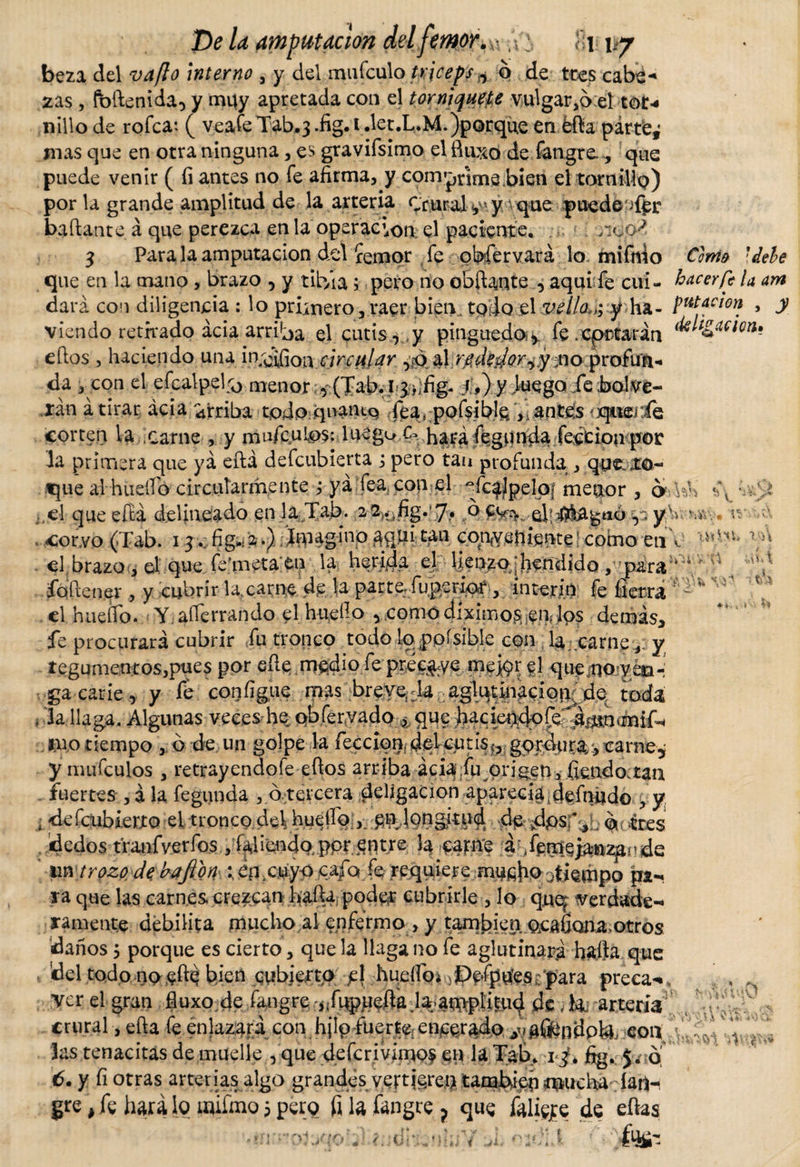 De la amputación dd.femor^x ,Vi $1 \*j beza del vaflo interno , y del mufculo triceps ^ o de tres cabe-» zas , íbftenida, y muy apretada con el torniquete vulgar,6:eí tor* nillo de rofea: ( veafe Tab.3 .fig. t .let.L.M.)porque en éfta pártfe¿ mas que en otra ninguna , es gravifsimo el fluxo de fangre.que puede venir ( íi antes no fe afirma, y cómanme bien el tornillo) por la grande amplitud de la arteria Crural y que puedeTer bailante á que perezca en la operación el paciente. 3 Para la amputación del femor fe obfervará lo mifnio Corno que en la mano , brazo , y tibia ; pero no obftante , aquí fe cui- hacer fe la am dará con diligencia : lo primero, raer bien todo el vellos y ha- putarion , y viendo retirado acia arriba el cutis, y pinguedo, fe.epatarán eftos , haciendo una io¿¿fl0\\ circular ,0 al rp/dedor^y 00 profun¬ da , con el efcalpelfo menor , (Tab. i;3. /{&gt;). y luego fe Solve¬ rán á tirar acia Arriba todo qnaniq fea, pofsible, &gt;i ante;s querie corten la .carne , y mufcu!¿&gt;$: luego.c* hará fegpnda. feccion por la primera que yá eílá defeubierta ; pero tan profunda , qtj&amp; jro- que al huello circularmente ; yá fea, con el ~fc^lpelo¡ menor , o lí. ;,d que eftá delineado en la Tab. 22^fig..^7. o v ^ y&gt; v¿v. tv • v cor.vo (Tab. 13fig.: 2.) • Imagino aquí tan confuiente j como en i el brazo , el que fe’metaen ia herida el lienzo pendido , para ’ foliener , y cubrir la carne de la parte, fu perior , ínterin fe fierra d haeífo. Y.aberrando el huello ,comodíximosenlos demás* fe procurará cubrir fu tronco todo lo poísible con la. carney tegumentos,pues por eíle medio fe precave mejpr el qti^oygéia- ga carie, y f¿ coníigue mas breye¿Ta aglqtínacio^de toda , la llaga. Algunas veces he obferyado ¿ que hacumdoCe ^mntrnif- iiio tiempo , ó de un golpe la feccioni decutisgorduracarne, y mufculos , retrayendofe eftos arriba acia fu origen, flendo.tan fuertes , á la fegunda , ó tercera deligacion aparecía .defnudo , y ,.&lt;lefcubierjto el tronco del hueí%, ^ndongitu^ de .dpsr^bo-tres dedos tranfverfos , fa.liendo^ppr,^ntre ;&amp;hfeUQpwqiiiáG un trozo de bajío ri epxuy-o cafo fe requiere mufifio .¿tiempo pa¬ ta que las carnes crezcan halla poder cubrirle , lo quq verdade¬ ramente debilita mucho al enfermo , y también ocauona.otros danos, porque es cierto, que la llaga no fe aglutinará hatta que del todo no eíle bien cubierto pj hu.eílcn ^Ppfpu’esypara preca-, , ^ ver el gran fluxo de fapgrgarteria crural, eíla fe enlazará con hjlp-fuerte encerado ¿vaífentípte, con Jas tenacitas de muelle , que defcrivimo$ en la Tab. if. fig.. J. d 6. y fi otras arterias algo grandes vettieretytambi^Wicha-ian-i gre , fe hará lo mifmo 5 pero fl la fangre ? que fali^e de eílas Í\Y&amp;Vví