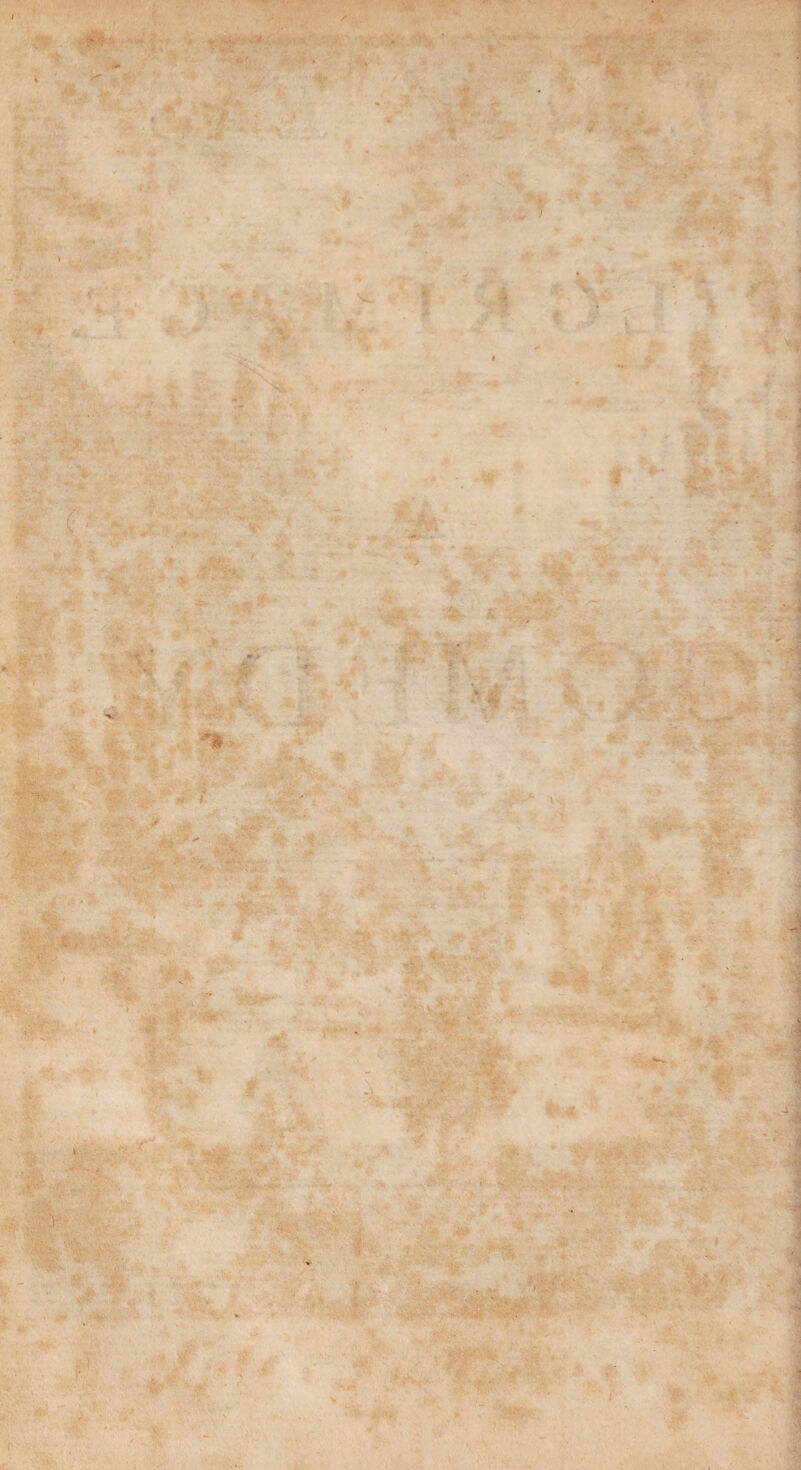 * • Mr ,  * ‘f * L ! v 4» i ♦ Y v/'c i .« ft * V 4 •*