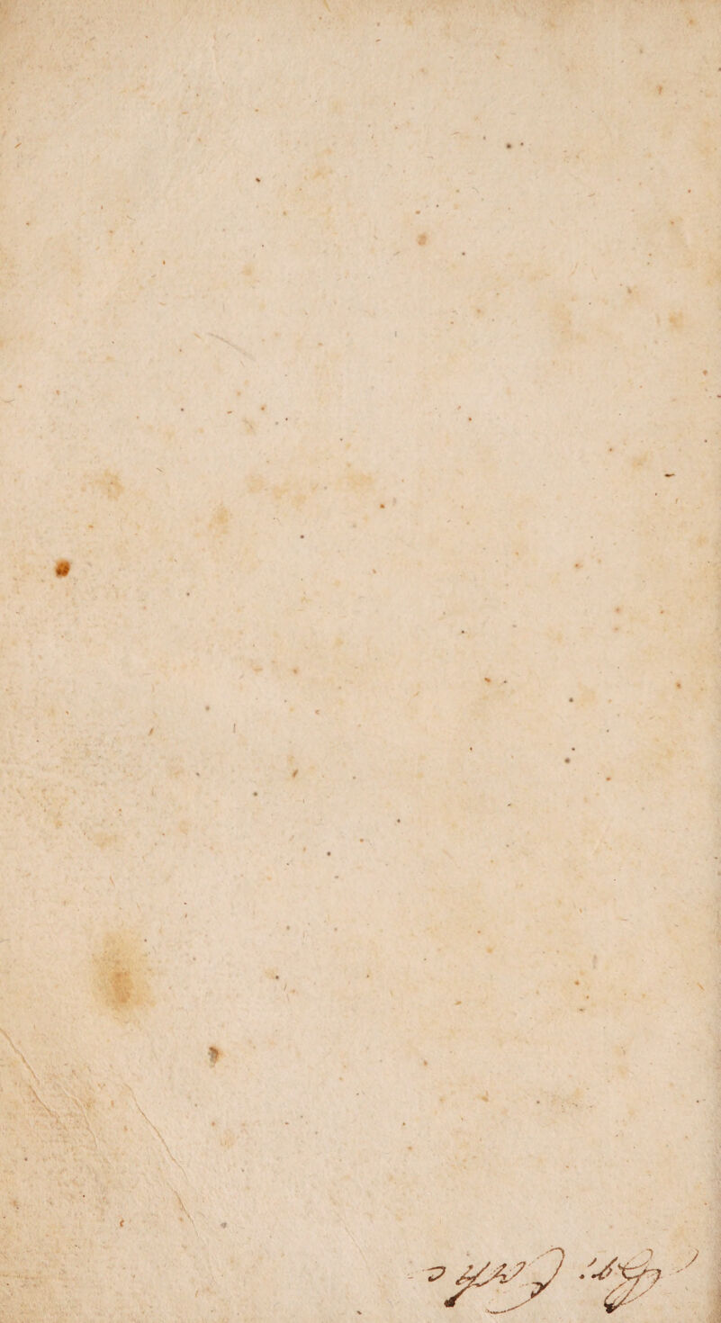 . / v / • • I t 1 ♦ • V * •