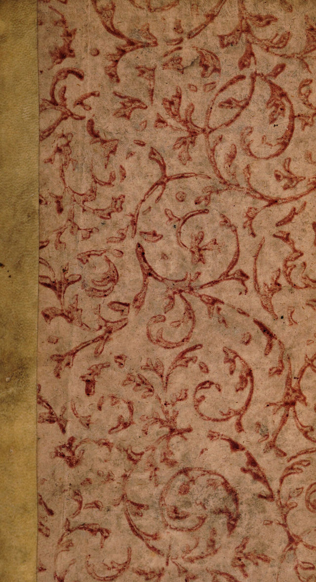 digitised image 1