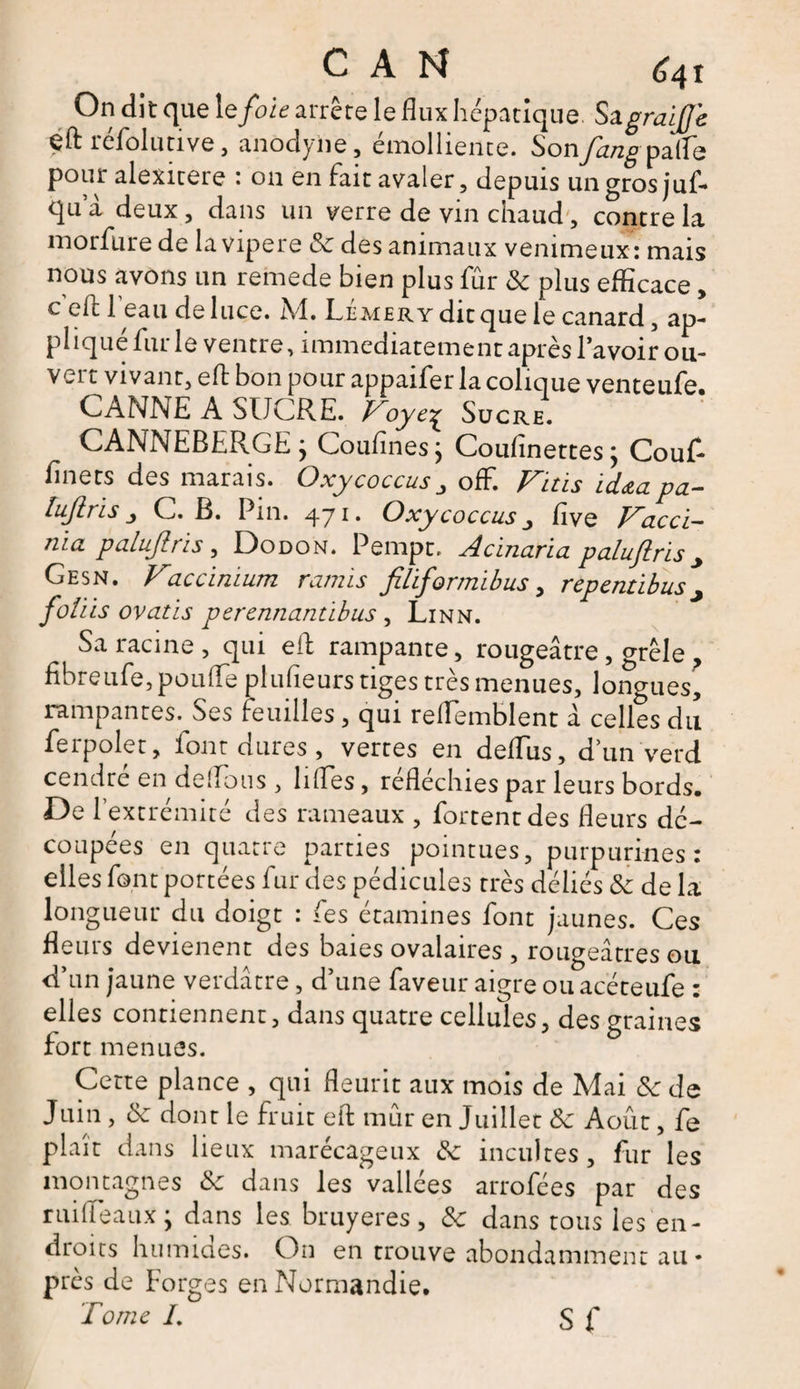 On dit que le foie arrête le flux hépatique Sa graiJJ'e çft rcfolutive, anodyne, einolliente. Sonfangpâlie pour alexicere : 011 en fait avaler, depuis ungrosjuf- qu a deux, dans un verre de vin chaud, contre la morfure de la vipere &amp;c des animaux venimeux: mais nous avons un remede bien plus fur &amp; plus efficace, c efl l'eau de 1 uce. M. LÉMERYditque le canard, ap¬ pliqué fur le ventre, immédiatement après lavoir ou¬ vert vivant, efl bon pour appaifer la colique venteufe. CANNE A SUCRE. Foye^ Sucre. CANNEBERGE j Couflnesj Coulinettes; Couf* finets des marais. Oxycoccus 3 off. Fuis ïdaapa- lujïris j C. B. 1111. qy 1. Oxycoccus j five Facci~“ nia paluflris , Dodon. Pempt. Acinaria paluflris y Gesn. Faccimum ramis filiformibus, repentibus y foiiis ovatis perennantibus , Linn. Sa racine , qui efl rampante, rougeâtre , grêle , fibreufe, poufle plufieurs tiges très menues, longues, rampantes. Ses feuilles, qui reflemblent à celles du ferpolet, lonr dures , vertes en deflus, d’un verd cendre en deflous , lifles, réfléchies par leurs bords. De l’extrémité des rameaux , Portent des fleurs dé¬ coupées en quatre parties pointues, purpurines: elles font portées fur des pédicules très déliés &amp; de la longueur du doigt : fes étamines font jaunes. Ces fleurs devienent des baies ovalaires , rougeâtres ou d’un jaune verdâtre, d’une faveur aigre ou acéteufe : elles contiennent, dans quatre cellules, des graines fort menues. Cette plance , qui fleurit aux mois de Mai Sc de Juin , &amp; dont le fruit efl mûr en Juillet Sc Août, fe plaît dans lieux marécageux &amp; incultes, fur les montagnes &amp; dans les vallées arrofées par des rui fléaux ; dans les bruyères, &amp; dans tous les en¬ droits humides. On en trouve abondamment au • près de Forges en Normandie. Tome L SC