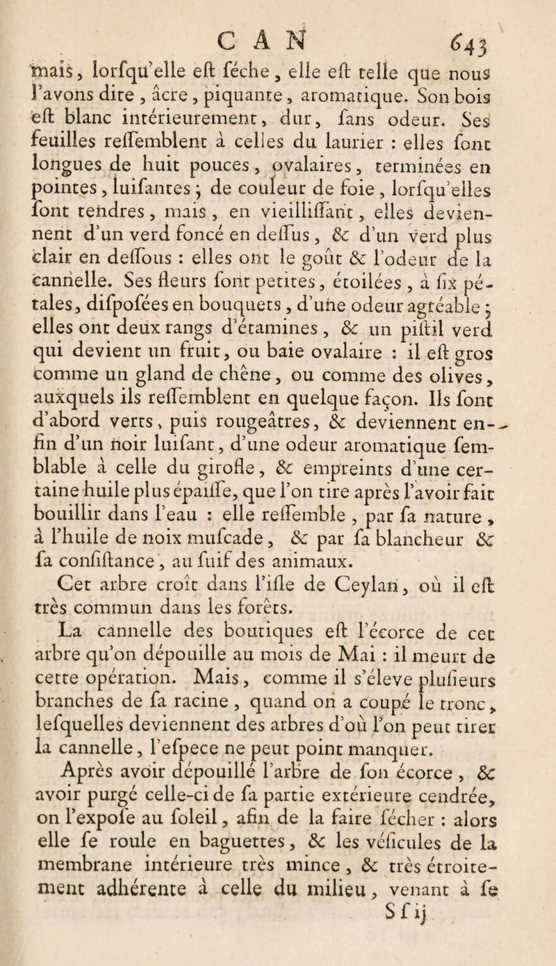 inais, lorfqu’elle eft féche, elle eft telle que nous l’avons dite , âcre, piquante, aromatique. Son bois eft blanc intérieurement, dur, fans odeur. Ses feuilles reflemblent à celles du laurier : elles font longues de huit pouces, ovalaires, terminées en pointes, luifantes} de couleur de foie , lorfqu elles font tendres, mais, en vieiliiftant, elles devien¬ nent d’un verd foncé en déifias , 8c d’un verd plus clair en deifous : elles ont le goût 8c l’odeur de la cannelle. Ses Heurs font petites, étoilées , a flx pé¬ tales, difpofées en bouquets, d’une odeur agréable ; elles ont deux rangs d’étamines, 8c un piftil verd qui devient un fruit, ou baie ovalaire : il eft gros comme un gland de chêne, ou comme des olives, auxquels ils reifemblent en quelque façon. Us font d’abord verts, puis rougeâtres, 8c deviennent en-- fin d’ un noir luifant, d’une odeur aromatique fem- blable â celle du girofle, 8c empreints d’une cer¬ taine huile pl 11s épaifle, que l’on tire après l’avoir fait bouillir dans l’eau : elle reflemble , par fa nature , à l’huile de noix mufcade, 8c par fa blancheur 8c fa confiftance , au fuif des animaux. Cet arbre croît dans l’ifle de Ceylan, où il eft très commun dans les forêts. La cannelle des boutiques eft l’écorce de cet arbre qu’on dépouille au mois de Mai : il meurt de cette opération. Mais, comme il s’élève plufieurs branches de fa racine , quand on a coupé le tronc, lefquelles deviennent des arbres d’où l’on peut tiret la cannelle, l’efpece ne peut point manquer. Après avoir dépouillé l’arbre de fon écorce , 8c avoir purgé celle-ci de fa partie extérieure cendrée, on l’expofe au foleil, afin de la faire fécher : alors elle fe roule en baguettes, 8c les vélicules de la membrane intérieure très mince , 8c très étroite¬ ment adhérente â celle du milieu, venant à fe Sfij