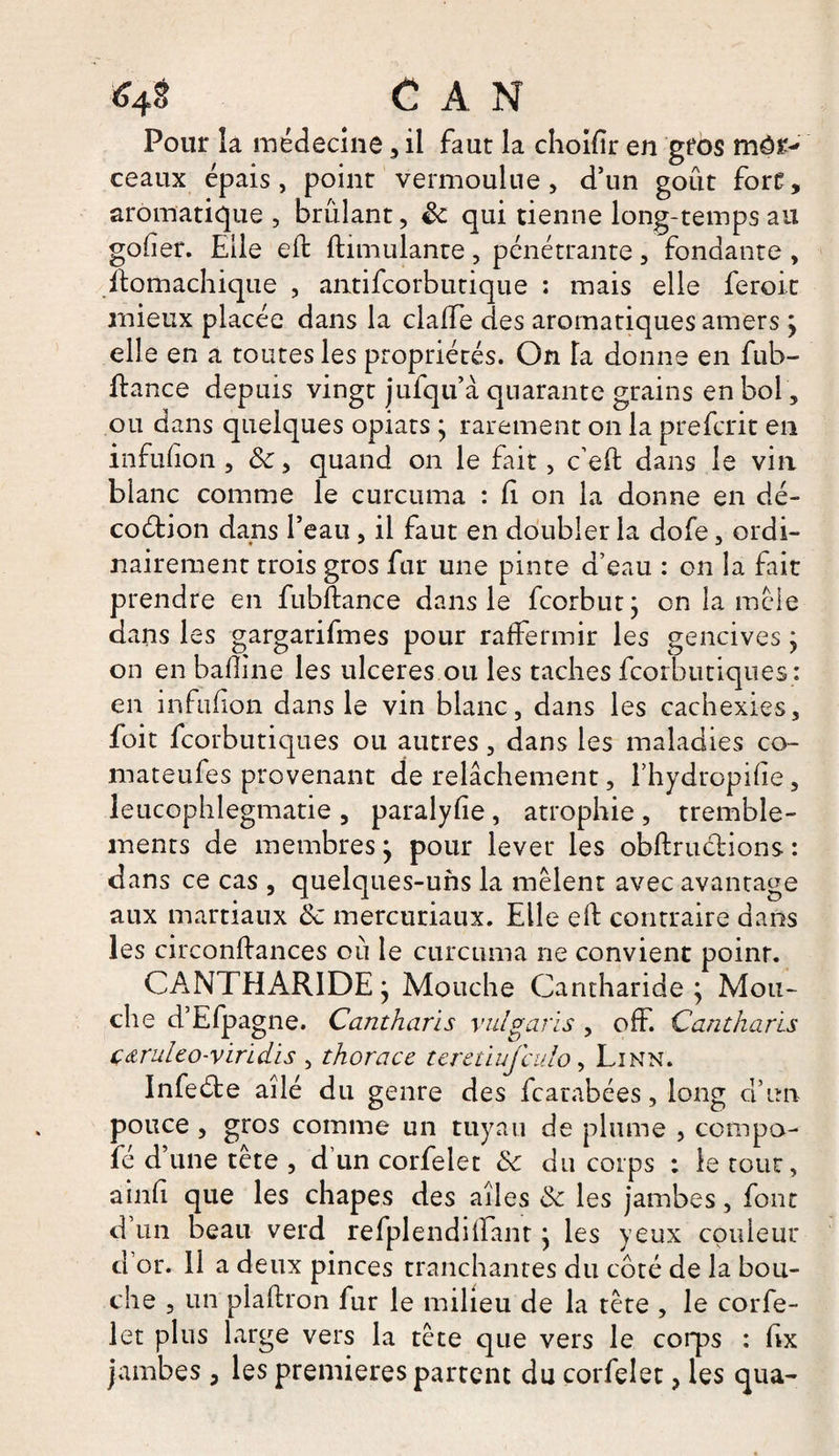 Pour la médecine , il faut la choifir en gros môr-»' ceaux épais, point vermoulue, d’un goût fort, aromatique , brûlant, Sc qui tienne long-temps au gober. Elle eft ftimulante, pénétrante, fondante , fiomachique , antifcorbutique : mais elle feroit mieux placée dans la claffe des aromatiques amers \ elle en a toutes les propriétés. On Ta donne en fub- ftance depuis vingt jufqu’à quarante grains en bol, ou dans quelques opiats ; rarement on la prefcrit en infubon , quand on le fait, c’eft dans le vin blanc comme le curcuma : fi on la donne en dé¬ coction dans l’eau, il faut en doubler la dofe, ordi¬ nairement trois gros fur une pinte d’eau : on la fait prendre en fubftance dans le fcorbutj on la mêle dans les gargarifmes pour raffermir les gencives ; on en bafiine les ulcérés ou les taches fcorbutiques : en infufion dans le vin blanc, dans les cachexies, foit fcorbutiques ou autres , dans les maladies co- mateufes provenant de relâchement, fhydropifie, leucophlegmatie , paralyfie , atrophie , tremble¬ ments de membresj pour lever les obftructions : dans ce cas , quelques-uns la mêlent avec avantage aux martiaux & mercutiaux. Elle elt contraire dans les circonftances où le curcuma ne convient point. CANTHx\RlDEj Mouche Cantharide \ Mou¬ che d’Efpagne. Cantharis vulgarïs , off. Cantharis ç&ruleo-virïdis , thoracc teretiujculo, Linn. Infeéte ailé du genre des fcarabées, long d’un pouce , gros comme un tuyau de plume , compo- fé d’une tête , d’ un corfelet de du corps ; le tour, ainfi que les chapes des ailes de les jambes, font d un beau verd refplendiifantj les yeux couleur d’or. 11 a deux pinces tranchantes du côté de la bou¬ che , un plaflron fur le milieu de la tête , le corfe¬ let plus large vers la tête que vers le corps : hx jambes , les premières partent du corfelet, les qua-