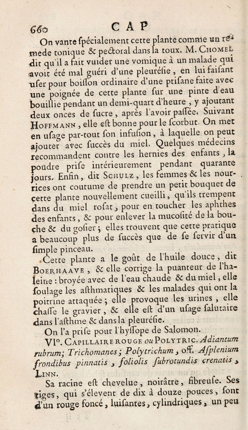 66 a CAP On vante fpécialement cette plante comme un r^ mede tonique 3c peétoral dans la toux. M. ChomeL dit qu’il a fait vuider une vomique à un malade qui ravoit été mal guéri d’une pleurélie , en luifaifant nier pour boiffoa ordinaire d’une ptifane faite avec une poignée de cette plante fur une pinte d eau bouillie pendant un demi-quart d’heure , y ajoutant deux onces de fucre , après l’avoir pafTée» Suivant Hoffmann , elle eft bonne pour le fcorbut. On met en ufa^e par-tout fon infufion 5 à laquelle on peut ajouter avec fuccès du miel. Quelques médecins recommandent contre les hernies des enfants „ la poudre prife intérieurement pendant quarante jours. Enfin, dit Schulz , les femmes 3c les nour- . rices ont coutume de prendre un petit bouquet de cette plante nouvellement cueilli, qu’ils trempent dans du miel rofat3 pour en toucher les aphthes des enfants, &amp; pour enlever la mucofité de la bou¬ che 3c du gofier > elles trouvent que cette pratique a beaucoup plus de fucces que de fe fervir d un fimple pinceau. t Cette plante a le goût de l'huile douce, dit Boerhaave , &amp; elle corrige la puanteur de l’ha- leine • broyée avec de 1 eau chaude 3c du miel, elle foulage les afthmatiques 3c les malades qui ont la poitrine attaquée ; elle provoque les urines , elle chalTe le gravier , &amp; elle eft d’un ufage falutaire dans 1’afthme 3c dans la pleuréfie. On l’a prife pour l'hyfTope de Salomon. Vl°. Capillaire rouge ou Polytric. Adiantum rubrum; Trichomanes; Polytric hum off. Afplemum frondibus pinnatis 3 foliolis fubrotundïs crenatis > JLinn. . ri r c Sa racine eft chevelue, noirâtre, nbreuie. Ses tiges, qui s’élèvent de dix à douze pouces, font d’un rouge foncé * luifantes, cylindriques, un peu