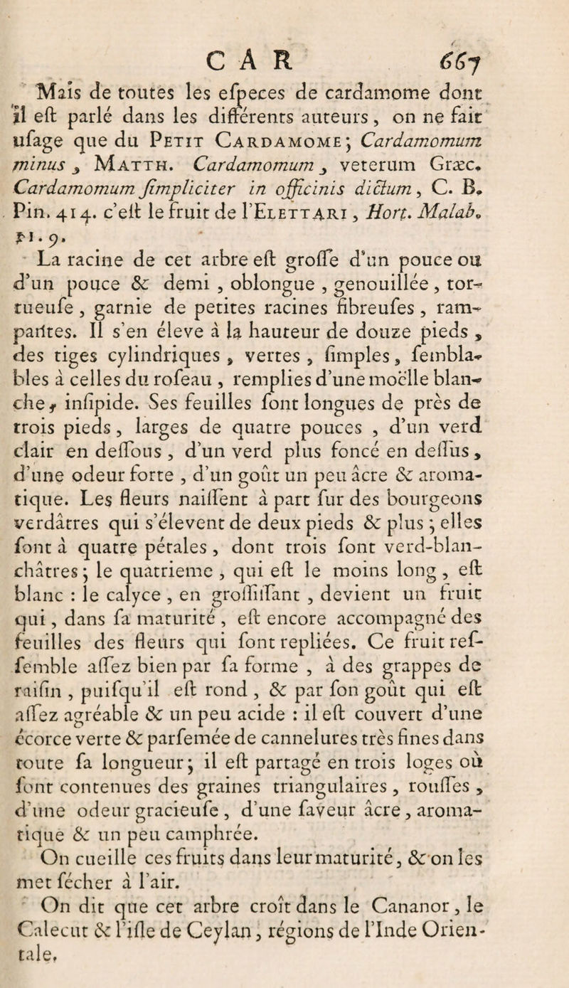 CAR 66y Maïs de toutes les efpeces de cardamome dont il eft parlé dans les différents auteurs, on ne fait ufage que du Petit Cardamome; Cardamomum minus 3 Matth. Cardamomum veterum Græc. Cardamomum Jïmplïciter in officiais diclum, C. B. Pin. 41 q. c’eft le fruit de I’Elettari , Hort. Malabo pi-9. La racine de cet arbre eft groffe d’un pouce ou d’un pouce &amp;: demi , oblongue , genouillée, tor- rueufe , garnie de petites racines fibreufes , ram- parités. Il s’en éleve â la hauteur de douze pieds , des tiges cylindriques > vertes , (impies 3 fembla** blés à celles du rofeau , remplies d’une moelle blan^ chef infipide. Ses feuilles font longues de près de trois pieds, larges de quatre pouces , d’un verd clair en deffous , d’un verd plus foncé en deflus , d’une odeur forte , d’un goût un peu acre de aroma¬ tique. Les fleurs naiffent â part fur des bourgeons verdâtres qui s’élèvent de deux pieds de plus ; elles font à quatre pétales , dont trois font verd-blan- châtres ; le quatrième , qui eft le moins long , eft blanc : le calyce , en grofliffant , devient un fruit qui, dans fa maturité , eft encore accompagné des feuilles des fleurs qui font repliées. Ce fruit ref- femble affez bien par fa forme , â des grappes de raifln , puifqu’il eft rond , de par fon goût qui eft affez agréable de un peu acide : il eft couvert d’une écorce verte de parfemée de cannelures très fines dans toute fa longueur; il eft partagé en trois loges où font contenues des graines triangulaires , ronfles , d’une odeur gracieufe, d’une faveur âcre, aroma¬ tique de un peu camphrée. On cueille ces fruits dans leur maturité 3 &amp; on les met fécher â l’air. On dit que cet arbre croît dans le Cananor, le Calecut de l’ifle de Ceylan > régions de l’Inde Orien¬ tale.