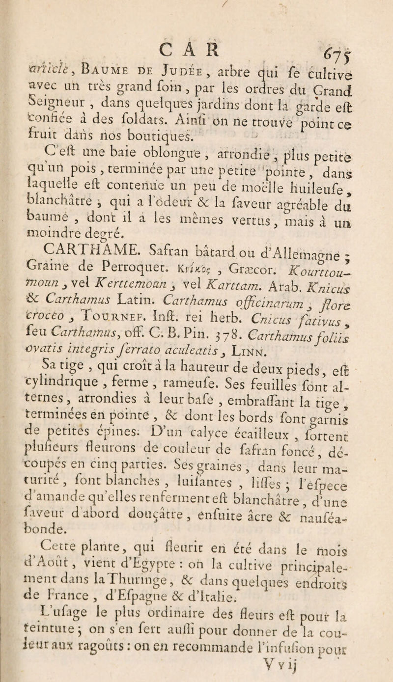 / C A R 67 ^ mïkïe. Baume de Judée, arbre qui fe cultive avec un très grand foin , par les ordres du Grand Seigneur , dans quelques jardins dont la garde eft ton fies a des foldats. Ainti on ne trouve point ce Iruit dans nos boutiques. C elt une baie oblongue , arrondie , plus petite quun ^pois, terminée par une petite pointe , dans laquelle eft contenue un peu de moelle huileufe, blanchâtre s qui a 1 odeur &amp; la faveur agréable du baume , dont il a les memes vertus , mais à un moindre degré. ^ CARTHAME. Safran bâtard ou d’Allemagnè - Graine de Perroquet. Kvhroç , Græcor. Kourttou- moun vel Kerttemotm j vel Karttam. Arab. Knicus &amp; Carthamus Latin. Carthamus officinarum J flore, trocto Tournef. ïnft. rei herb.' Cnicus fativus , feu Carthamus, ofF. C. B. Pin. 378. Carthamus foliis ovatls integrïs fcrrato aculeatis > Linn. Sa tige , qui croît à la hauteur de deux pieds, eft cylindrique , ferme , rameufe. Ses feuilles font al¬ ternes ^ arrondies a leur bafe , embralfant la tige , terminées en pointe , &amp; dont les bords font garnis de petites épines. D’un calyce écailleux , fartent pluheurs fleurons de couleur de fafran foncé, dé¬ coupés en cinq parties. Ses graines, dans leur’ma- turité, font blanches , lnilanres , liftés; lefpece damande quelles renferment eft blanchâtre , d’une faveur d abord douçatre , en fuite âcre &amp; nanféa- bonde. _ Cette plante, qui fleurit en été dans le mois d’Août, vient d’Egypte: on la cultive principale¬ ment dans laThunnge, &amp; dans quelques endroits de France , d’Efpagne &amp; d’Italie. F ufage le plus ordinane des fleurs eft pour la. teinture ; on s en fert auflî pour donner de la cou- leur aux ragoûts : on en recommande i’infufion pour
