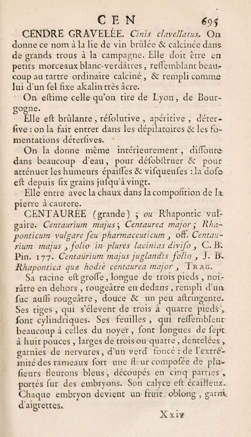 C E H 69f CENDRE GRAVELÉE. Cinis clavcita tus. On donne ce nom à la lie de vin brûlée &amp; calcinée dans de grands trous à la campagne. Elle doit être en petits morceaux blanc-verdâtres, reflemblant beau¬ coup au tartre ordinaire calciné, &amp; rempli comme lui d’ un Tel fixe alcalin très âcre. On eftime-celle qu’on tire de Lyon, de Bour¬ gogne- A ; Elle eft brûlante, réfolutive , apéritive , deter- five : on la fait entrer dans les dépilatoires &amp; les fo¬ mentations déterfives. ' On la donne même intérieurement, difioute dans beaucoup d’eau, pour défobltruer &amp; pour atténuer les humeurs épaifles &amp; vifqueufes :1a dofe- efi depuis fix grains jufqu’à vingt. Elle entre avec la chaux dans la compofition de la. pierre â cautere. CENTAURÉE (grande) y ou. Rhapontic vul¬ gaire. Centaurium majus} Centaurea major; Rha- ponticum vulgare feu pharmaceuticum orf. Centau¬ rium majus j folio in plures lacinias divifo j C. B. Pin. 177. Centaurium majus juglandïs jolio j J. B* Rhapontica qu&amp; hodie centaurea major Trag. Sa racine eftgrofie, longue de trois pieds , noi¬ râtre en dehors , rougeâtre en dedans , rempli d:un fuc aufiî rougeâtre, douce &amp; un peu aftringente. Ses tiges , qui s’élèvent de trois à quatre pieds „ font cylindriques. Ses feuilles , qui refiembîenc beaucoup à celles du noyer, font longues de fept à huit pouces, larges de trois ou quatre, dentelées , garnies de nervures, d’un verd foncé : de 1 extré¬ mité des rameaux fort une fleur compofée de plu- fieurs fleurons bleus , découpés en cinq parties » portés fur des embryons. Son calyce efi écailleux. Chaque embryon devient un fruit obiong , garni d’aigrettes.. Xxiir