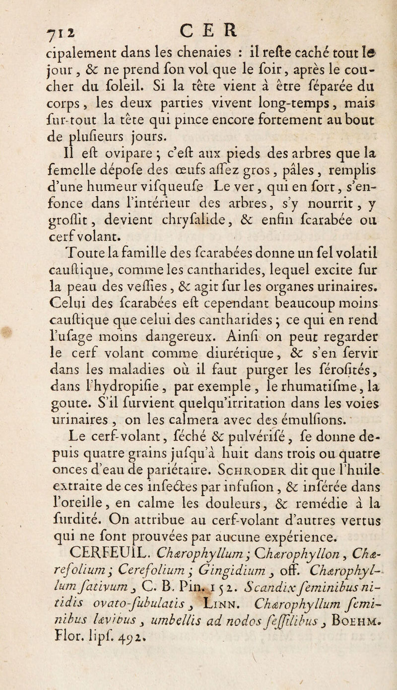 cipalement dans les chênaies : il refte caché tout le jour 3 ôc ne prend fon vol que le foir, après le cou¬ cher du foleil. Si la tête vient à être féparée du corps, les deux parties vivent long-temps , mais fur-tout la tête qui pmce encore fortement au bout de plufieurs jours. il eft ovipare ] c’eft aux pieds des arbres que la femelle dépofe des œufs allez gros, pâles , remplis d’une humeur vifqueufe Le ver, qui en fort, s’en¬ fonce dans l’intérieur des arbres, s’y nourrit, y groflit, devient chryfalide, ôc enfin fcarabée ou cerf volant. Toute la famille des fcarabées donne un fel volatil cauflique, comme les cantharides, lequel excite fur la peau des vefiies, ôc agit fur les organes urinaires. Celui des fcarabées eft cependant beaucoup moins cauftique que celui des cantharides} ce qui en rend l’ufage moins dangereux. Ainfi on peut regarder le cerf volant comme diurétique, ôc s’en fervir dans les maladies où il faut purger les férofités, dans fhydropifie, par exemple , le rhumatifme, la goûte. S’il furvient quelqu’irritation dans les voies urinaires , on les calmera avec des émulfions. Le cerf-volant, féché &amp;pulvérifé? fe donne de¬ puis quatre grains jufqu’à huit dans trois ou quatre onces d’eau de pariétaire. Schroder dit que l’huile extraite de ces infecfes par infufion, ôc inférée dans l’oreiJle, en calme les douleurs, ôc remédie à la furdité. On attribue au cerf-volant d’autres vertus qui ne font prouvées par aucune expérience. CERFEUIL. Ch&amp;rophyllum ; Ghœrophyllon , Ch&amp;- refolïum ; Cerefohum ; Gingidium , off. Chdtrophyl-• lum fativum j C. B. Pin. i 52. Scandix feminibusni- îïdis ovato-fubulatis Linn. Ch&amp;rophyllum femi¬ nibus Uvious, umbellis ad no do s feffilibus j Boehm. Flor. lipfi 4^2. V 1 /