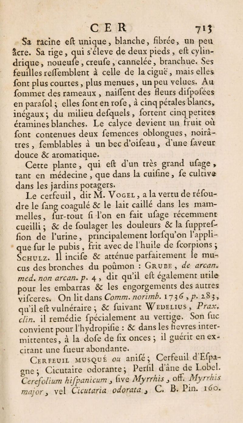 Sa racine eft unique, blanche, fibrée, un peu lcre. Sa tige , qui s’élève de deux pieds, eft cylin¬ drique , noueufe , creufe , cannelée, branchu-e. Ses feuilles reffemblent à celle de la ciguë , mais elles font plus courtes, plus menues, un peu velues. Au fommet des rameaux , nailTent des fleurs difpofées en parafol ; elles font en rofe, à cinq pétales blancs, inégaux j du milieu defquels, fortent cinq petites étamines blanches. Le calyce devient un fruit ou font contenues deux femences oblongues, noirâ¬ tres , femblables à un bec d’oifeau, d’une faveur douce &amp;c aromatique. Cette plante, qui eft dun très grand ufage , tant en médecine , que dans la cuiflne, fe cultive dans les jardins potagers. Le cerfeuil, dit M. Vogel , a la vertu de réfou¬ dre le fang coagulé 8c le lait caille dans les mam- melles, lur-tout fl l’on en fait ufage récemment cueilli ; &amp; de foulager les douleurs 8c la fuppref- Aon de l’urine, principalement lorfqu on l’appli¬ que fur le pubis , frit avec de l’huile de fcorpions j Schulz. Il incife 8c atténue parfaitement le mu¬ cus des bronches du poumon 1 Grube , de arcan. med. non arcan. p. 4 , dit qu il eft egalement utilo pour les embarras 8c les engorgements des autres vifeeres. On lit dans Comm. norïmb. 17 $6 , p. 5, qu’il eft vulnéraire j 8c fuivan: Wedelius, Prax. clin, il remédie fpécialement au vertige. Son fuc convient pour l’hydropifte : 8c dans les flevres inter¬ mittentes, à la dofe de fix onces} il guérit en ex¬ citant une fueur abondante. Cerfeuil musqué on anife} Cerfeuil d Efpa- one j Cicutaire odorante} Perlil d ane de Lobel. Cerefolium hïfpanicum > flve Myrrhis > ofF. Myrrhis major, vel Cicutaria 0 dorât a j C. B. Pin. 160.