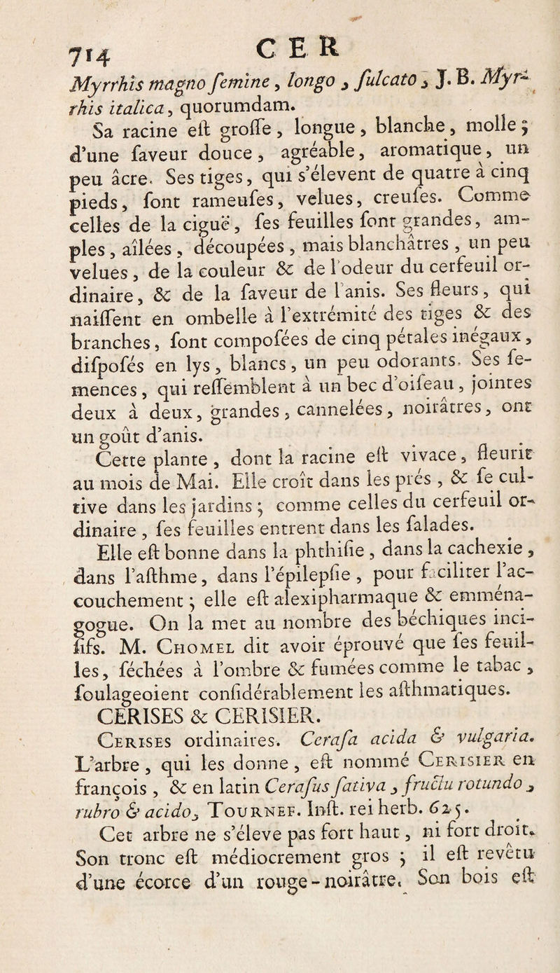 Myrrhis magno femme, longo , fulcato j J. B. Myr• rhis italïca, quorumdam. Sa racine eft greffe , longue , blanche , molle ‘j d’une faveur douce, agréable, aromatique, un peu âcre* Ses tiges, qui s elevent de quatre a cinq pieds, font rameufes, velues, creufes. Comme celles de la ciguë, fes feuilles font grandes, am¬ ples , ailées , découpées , mais blanchâtres , un peu velues , de la couleur Sc de 1 odeur du cerfeuil or¬ dinaire, Sc de la faveur de 1 anis. Ses Heurs, qui naiffent en ombelle à 1 extrémité des tiges êc des branches, font compofées de cinq petales inégaux, difpofés en lys, blancs, un peu odorants. Ses fe- rnences, qui reffemblent â un bec d oifeau, jointes deux à deux, grandes, cannelées, noirâtres, ont un goût d’anis. Cette plante , dont la racine eft vivace, fleurit au mois de Mai. Elle croît dans les près , &amp; fe cul¬ tive dans les jardins j comme celles du cerfeuil or- dinaire , fes feuilles entrent dans les falades. Elle eft bonne dans la phthifie , dans la cachexie , dans l’afthme, dans l’épilepfte , pour faciliter 1 ac¬ couchement y elle eft alexipharmaque &amp;c emrnena- gogue. On la met au nombre des bechiques mci- fifs. M. Chomel dit avoir éprouve que les feuil¬ les, féchées à l’ombre &amp; fumées comme le tabac, foulageoient considérablement les afthmatiques. CERISES &amp; CERISIER. Cerises ordinaires. Cerafa acida &amp; vulgaria. L’arbre , qui les donne, eft nomme Cerisier en François , &amp; en latin Cerafus fativa , fruciu rotundo j rubro &amp; acldoj Tournef. Inft. rei herb. Gt, 5. Cet arbre ne s’élève pas fort haut, ni fort droit* Son tronc eft médiocrement gros j il eft revenir d’une écorce d’un rouge-noirâtre, Son bois eft