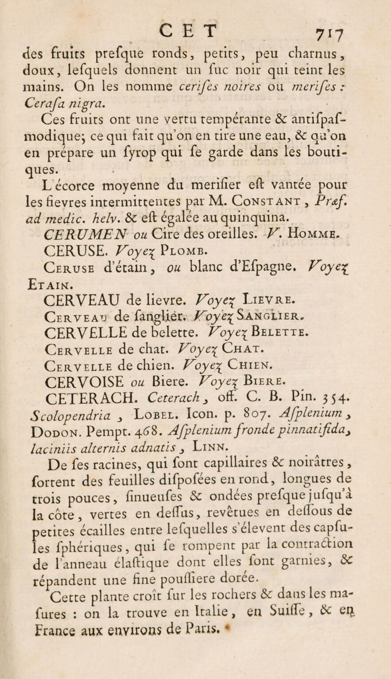 des fruits prefque ronds, petits, peu charnus, doux, lefquels donnent un fuc noir qui teint les mains. On les nomme cerifes noires ou merifes : Cerafa nïgra. Ces fruits ont une vertu tempérante 8c antifpaf- modique; ce qui fait qu’on en tire une eau, 8c qu’on en prépare un fyrop qui fe garde dans les bouti¬ ques. L écorce moyenne du merifier eft vantée pour les lievres intermittentes par M. Constant , Prœf. ad medïc. helv. 8c eft égalée au quinquina. CERUMEN ou Cire des oreilles. V» Homme. CERUSE. Voye% Plomb. Ceruse d’étain, ou blanc d’Efpagne. Voye% Etaik. CERVEAU de lievre. Voye^ Lievre. Cerveau de fanglier. Voye^ Sangiïer, CERVELLE de belette. Voye% Belette. Cervelle de chat. Voye^ Chat. Cervelle de chien. Voye% Chien. CERVOISE ou Biere. Voye% Biere. CETERACH. Ceterach, otf. C. B. Pin. 354. Scolopendrïa 3 Lobel. Icon. p. 807. Afplenium > Dodon. Pempt. 468. Afplenïumfrondepïnnatifida> lacïnïis alternis adnatis , Linn. De fes racines, qui font capillaires 8c noirâtres, Portent des feuilles difpofées en rond, longues de trois pouces, finueufes 8c ondées prefque jufqu a la cote, vertes en défias, revêtues en deflous de petites écailles entre lefquelles s’élèvent des capfu- les fphériques, qui fe rompent par la contraction de l’anneau claftique dont elles iont garnies, 8c répandent une fine poufliere dorée. Cette plante croit fur les rochers 8c dans les roa- fures 1 on la trouve en Italie, en Suifie, 8c ei£ France aux environs de Paris. *