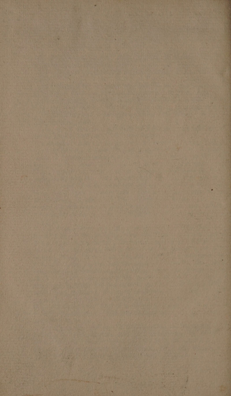 ae Ott Nie = ru ke te