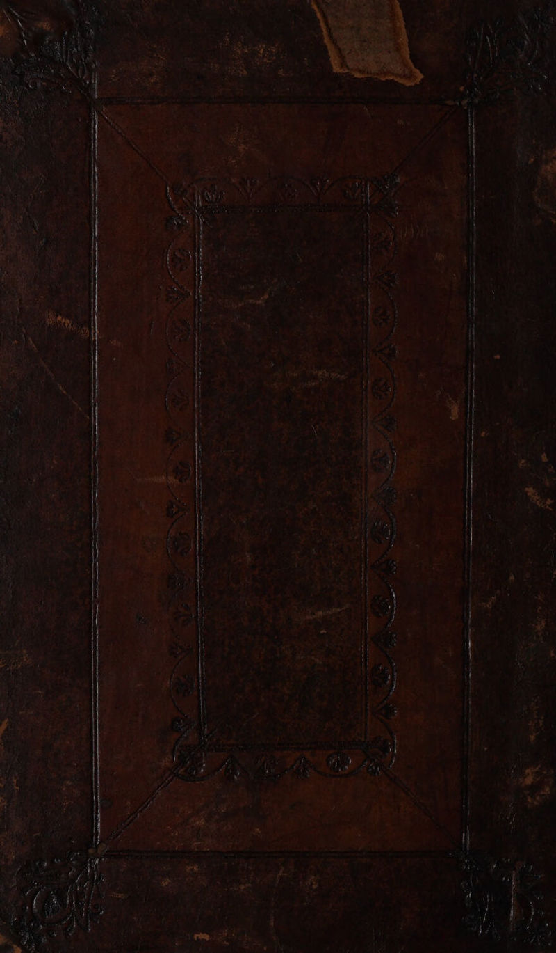 << <r ea ae el eek. a ‘ ; 4 wages Be a nc ant Ne ie et ET Pee Som nel eee ona Sarre aes