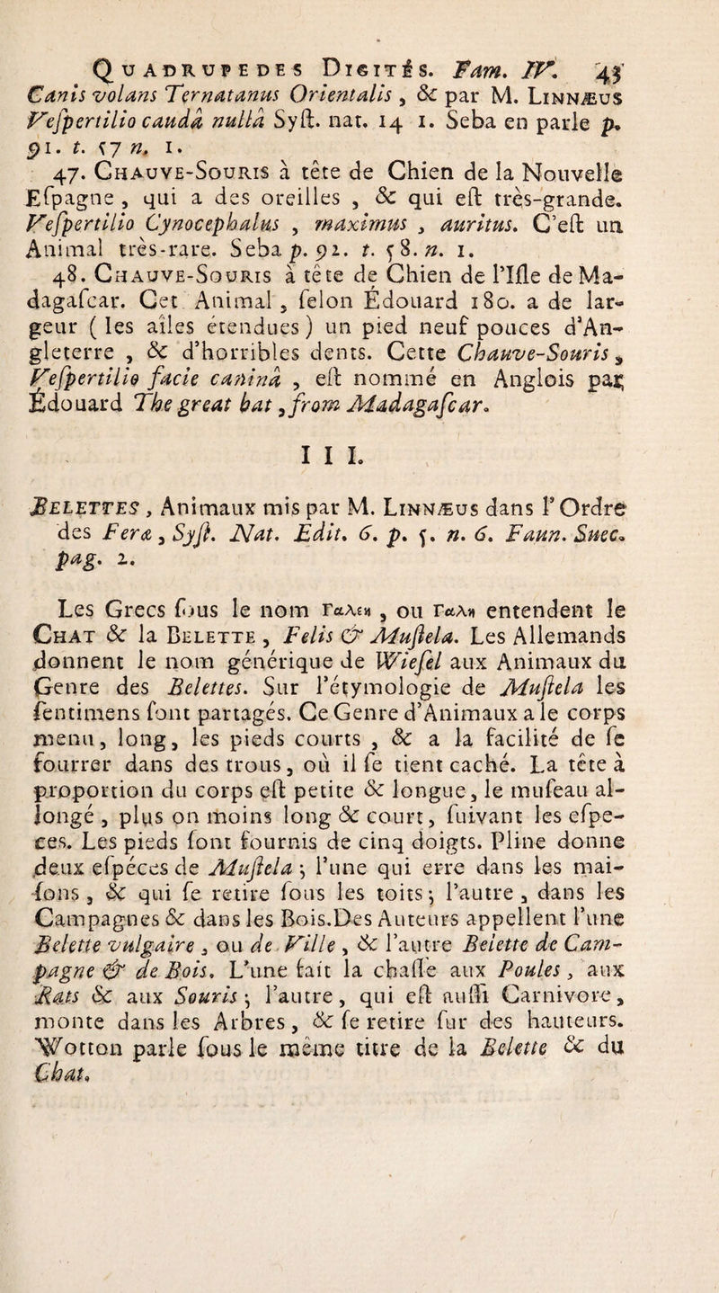 Cdnis volans Terndtanus Orientalis , 8c par M. Linnæus Vefpertilio caudd nulld Syft. nat. 14 1. Seba en parle p» pi. r. {7 », 1. 47. Chauve-Souris à tête de Chien de la Nouvelle E(pagne , qui a des oreilles , 8c qui eft très-grande. Vefpertilio Cynocephalus , maximus , auritus. C’eft un Animal très-rare. Seba p. 92. t. f8.». 1. 48. Chauve-Souris à tête de Chien de Tille deMa- dagafcar. Cet Animal , félon Édouard 180. a de lar¬ geur ( les ailes étendues ) un pied neuf pouces d’An¬ gleterre , 8c d’horribles dents. Cette Chauve-Souris 3 Vefpertilio facie ca?ùnd , eft nommé en Anglois pat; Édouard The great bat 9from Madagafcar. I I I. Belettes , Animaux mis par M. Linnæus dans T Ordre des Fera9Syft. Nat. Edit. 6. p. f. ». 6. Faun. Suce, p a g. 2. Les Grecs £;»us le nom , ou raA* entendent le Chat 8c la Belette , Félis &amp; Muftela. Les Allemands donnent le nom générique de Wiefel aux Animaux du Genre des Belettes. Sur l’étymologie de Aîuftela les fentimens font partagés. Ce Genre d’Animaux a le corps menu, long, les pieds courts , 8c a la facilité de fe fourrer dans des trous, où il fe tient caché. La tête à proportion du corps eft petite 8c longue, le mufeau al¬ longé , plus on moins long 8c court, fuivant les efpe- ees. Les pieds font fournis de cinq doigts. Pline donne deux efpéces de Aiuftela -, Tune qui erre dans les mai- dons , 8c qui fe retire fous les toits ; l’autre, dans les Campagnes 8c dans les Bois.Des Auteurs appellent Tune Belette vulgaire , ou de Ville , 8c l’autre Belette de Cam¬ pagne &amp; de Bois, Laine (ait la chafte aux Poules, aux Bats 8c aux Souris-, l’autre, qui eft aufti Carnivore, monte dans les Arbres, 8c fe retire fur des hauteurs. Wotton parle fous le meme titre de la Belette 8c du