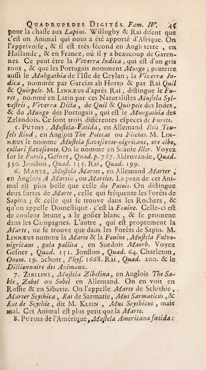 pour la chafle aux Lapins. Willugby de Rai difcnt que Ceft un Animal qui nous a été apporté d’Afrique. On l’apprivoife , de il eft très-fécond en Angle terre , en Hollande , de en France, où il y a beaucoup de Garen¬ nes, Ce peut être la Viverra Indica , qui eft d’un gris roux , de que les Portugais nomment Mon go \ peutetre auiïi le Muhgathia de Fille de Ceylan la Viverra In¬ dica , nommée par Gardas ab Horto de par Rai Quil de Quirpele. M. Linnæus d’après Rai, diftingue le Fu¬ ret , nommé en Latin par ces Naturaliftes Mufiela Syl- vefiris , Vivcrra Ditta , de Quil de Quirpele des Indes, de du Mungo des Portugais , qui eft le Mungathia des Zelandois. Ce font trois différentes efpeces de Furets. ç. Putois , Muftela-Fætida, en Allemand Iltis Teu- fds Rind, en Anglois The Polecat ou Fitches. M. Lin- næus le nomme Mufiela flaveficente-nigricans, ore albo9 collariflavefeente. On le nomme en Scanie Hier. Voyez fur le Putois y Gefner, Quad.p. 767, Aldrovande, Quad» 330. Jonfton 5 Quad. 155. Rai, Quad. 199. 6. Marte, Mufle la Martes, en Allemand Marter , en Anglois A /Martin , ou Martlet. La peau de cet Ani¬ mal eft plus belle que celle du Putois. On diftingue deux fortes de Marte , celle qui fréquente les Forêts de Sapins ; de celle qui fe trouve dans les Rochers , de qu’on appelle Domeftique . c’eft la Fouine. Celle-ci eft: de couleur brune , a le gofier blanc , de fe promene dans les Campagnes. L’autre , qui eft proprement la Marte, ne fe trouve que dans les Forêts de Sapin. M. Linnæus nomme la Marte de la Fouine, Mufiela Fulvo- nigricans , gula pallita , en Suédois Maorh. Voyez Gefner , Quad. pi. Jonfton , Quad. 64. Charleton, Onom. 19. Schott. Phyf. 1668. Rai, Quad. zoo. de le Dictionnaire des Animaux. 7. Zibeline, Mufiela ZibelinUy en Anglois The Sa* ble y Zobel ou Sobcl en Allemand. On en voit en Ruftie de en Sibérie. On l’appelle Marte de Schithie, Marter Scythica , Rat de Sarmatie, Mus Sarmaticus ydc Rat de Scythie , dit M. Klein , Mus Scythicus , mais' mal. Cet Animal eft plus petit que la Marte.