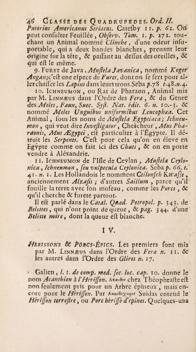 4^ Classé dés QüAürui’êdes. Ord. //. Putorius Arnericanus Striatns. Catefby 11. p. 61. Ort peut confulter Feuillée , Obferv. Tom* i> p. 272. tou¬ chant un Animal nommé Clmche , d'une odeur infu- portable, quia deux bandes blanches, prenant leur origine fur la tête, 8c paiFantau deiTus des oreilles, 8c qui efl: le même. 9. Furet de Java, Mujlela Javanica y nommé Koger Angan;ceft. une efpece de Furet, dont on fe fert pour al¬ ler c ha lier les Lapins dans leurs trous,Séba ^.78. *<48 ^.4. 10. Ichneumon , ou Rat de Pharaon , Animal mis par M. Linnæus dans POrdre des Fera , 8c du Genre des Meles, Faun> Suec. Syft. Nat. édit. 6. n. 10.-3. 8c nommé Meles Unguibus uniformibus I.eucophaa. Cet Animal, Fous les noms de Mufiela Egyptiaca; Ichneu¬ mon , qui veut dirt Inveftigator y Chercheur y Mus Pha~ raonis) Mus Ægypti , eit particulier à l'Égypte. Il dé¬ truit les Serpents. C’ell: pour cela qu’on en éleve en Egypte comme on fait ici des Chats, 8c on en porte vendre à Alexandrie. 11. Ichneumon de Tille de Ceylan ? Mnficla Ceylo~ flica , Ichneumon , feu vulpecula Ceylonica. Sebap. 66. t. 41. n. 1. Les Hollandois le nomment CeilonJch Kwafje , anciennement AlKa/is ; d’autres Saiilum , parce qu’il fouille la terre avec ion niufeau, comme les Rom , 8c qu’il cherche 8c furete partout. Il eft parlé dans le CataL Q/tad- Petropol. p. 343. de Belettes y qui n’ont point de queue, 8c pag. 344. d’une Belette noire y dont la queue eft blanche. I V. * Hérissons St Porcs-Êpîcs. Les premiers font mis par M. Linnæus dans l’Ordre des Fera n. 11. 8c les autres dans l’Ordre des Glires n* 17. Galien y ht. de comp. med. fec. loc. cap. 10. donne le nom Acdnthion à /’Hérijfon. chez Théophrafieelf non feulement pris pour un Arbre épineux , mais en¬ core pour le Hérijfon. Par Axavflo&amp;oipof Suidas entend le Hérijfon terrejïre, ou Porc hérijfé d1 épines. Quelques-uns