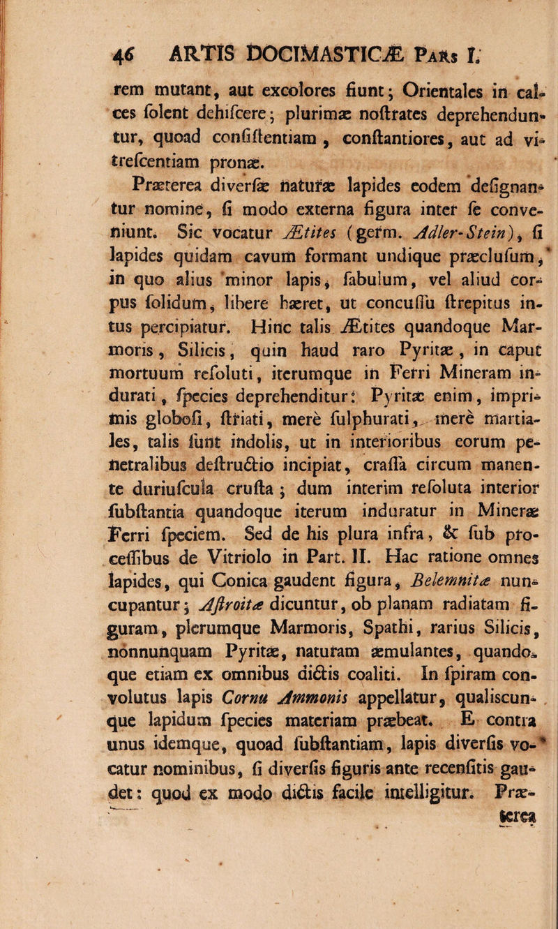 rem mutant, aut excolores fiunt; Orientales in cal¬ ces folent dehifcere; plurimae noftrates deprehendun** tur, quoad confidentiam , condantiores, aut ad vi- trefcentiam pronae. Praeterea diverfae naturae lapides eodem defignan* tur nomine, fi modo externa figura inter fc conve¬ niunt. Sic vocatur JEtites (germ. Adler-Stein), fi lapides quidam cavum formant undique praeclufum in quo alius minor lapis4 fabulum, vel aliud cor^ pus folidum, libere haeret, ut concuftb drepitus in¬ tus percipiatur. Hinc talis iEtites quandoque Mar¬ moris , Silicis, quin haud raro Pyritae , in caput mortuum refoluti, itcrumque in Ferri Mineram in¬ durati, fpccies deprehenditur: Pyritx enim, impri¬ mis globofi, driati, mere fulphurati,. mere martia- les, talis funt indolis, ut in interioribus eorum pe¬ netralibus dedrudio incipiat, crafla circum manen¬ te duriufcula cruda ; dum interim refoluta interior fubfiantia quandoque iterum induratur in Minerae Ferri fpeciem. Sed de his plura infra, &amp;: fub pro- ceffibus de Vitriolo in Part. II. Hac ratione omnes lapides, qui Conica gaudent figura, Belemnit&lt;e num* cupantur; Aftroita dicuntur, ob planam radiatam fi¬ guram, plerumque Marmoris, Spathi, rarius Silicis, nonnunquam Pyritx, naturam aemulantes, quando*, que etiam ex omnibus didis coaliti. In fpiram con¬ volutus lapis Cornu Jmmonh appellatur, qualiscun¬ que lapidum fpecies materiam praebeat. E contra unus idemque, quoad fubdantiam, lapis diverfisvo-* catur nominibus, fi diverfis figuris ante recenfitis gau¬ det: quod ex modo didis facile intelligitur. Frae- screa