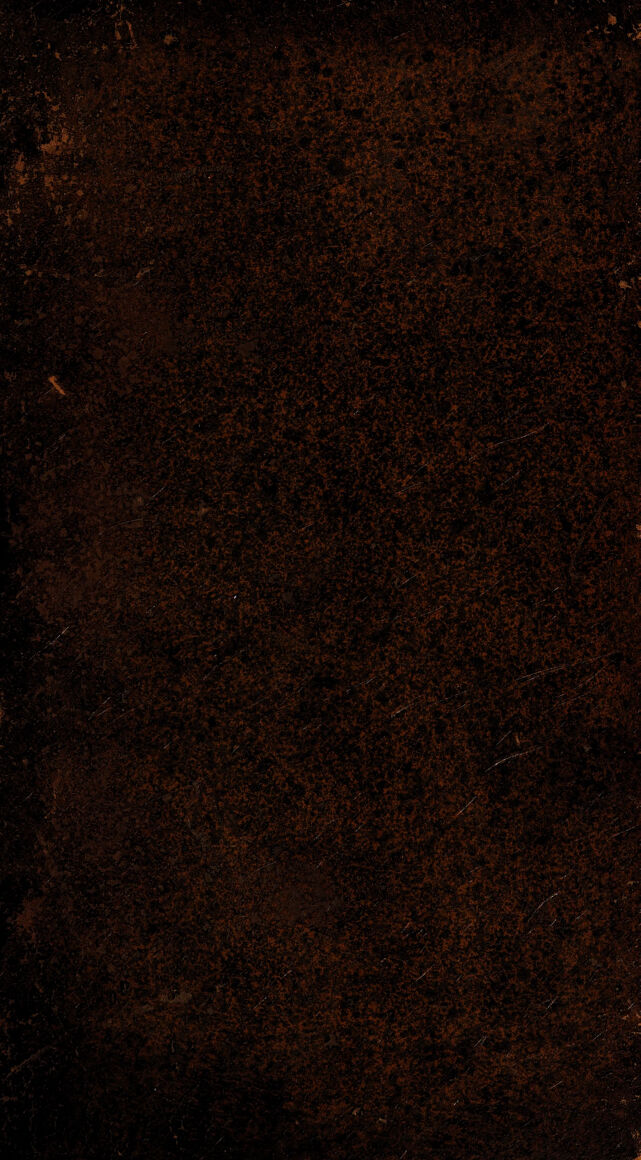 digitised image 1