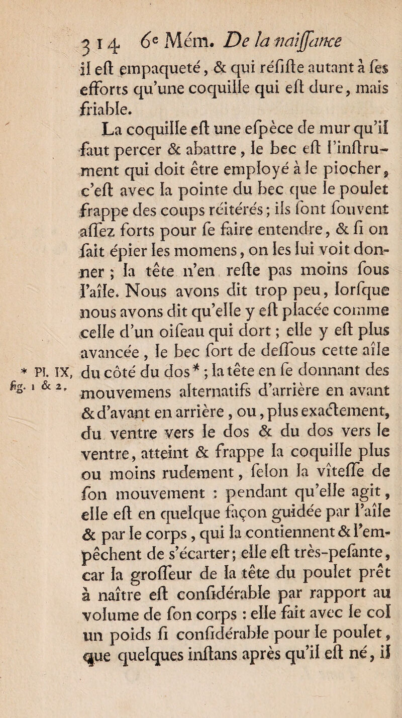 il eft empaqueté, & qui réfifte autant à Tes efforts qu’une coquille qui elt dure, mais friable. La coquille eft une efpèce de mur qu’ii faut percer & abattre, le bec eft finftru- ment qui doit être employé à le piocher, c’eft avec la pointe du bec que le poulet frappe des coups réitérés ; ils font fou vent affez forts pour fe faire entendre, & fi ou fait épier les momens, on les lui voit don¬ ner ; la tête n’en refte pas moins fous î’aîle. Nous avons dit trop peu, Iorfque nous avons dit qu’elle y eft placée comme celle d’un oifeau qui dort ; elle y eft plus avancée , le bec fort de deffous cette aile pï. IX, du côté du dos* ; la tête en fe donnant des 1 &2' mouvemens alternatifs d’arrière en avant & d’avant en arrière, ou, plus exactement, du ventre vers le dos & du dos vers le ventre, atteint & frappe la coquille plus ou moins rudement, félon la vîteffe de fon mouvement : pendant qu’elle agit, elle eft en quelque façon guidée par l’aile & par le corps, qui la contiennent & l’em¬ pêchent de s’écarter; elle eft très-pefante, car la groffeur de la tête du poulet prêt à naître eft confidérable par rapport au volume de fon corps : elle fait avec le col un poids fi confidérable pour le poulet, «gue quelques inftans après qu’il eft né, il