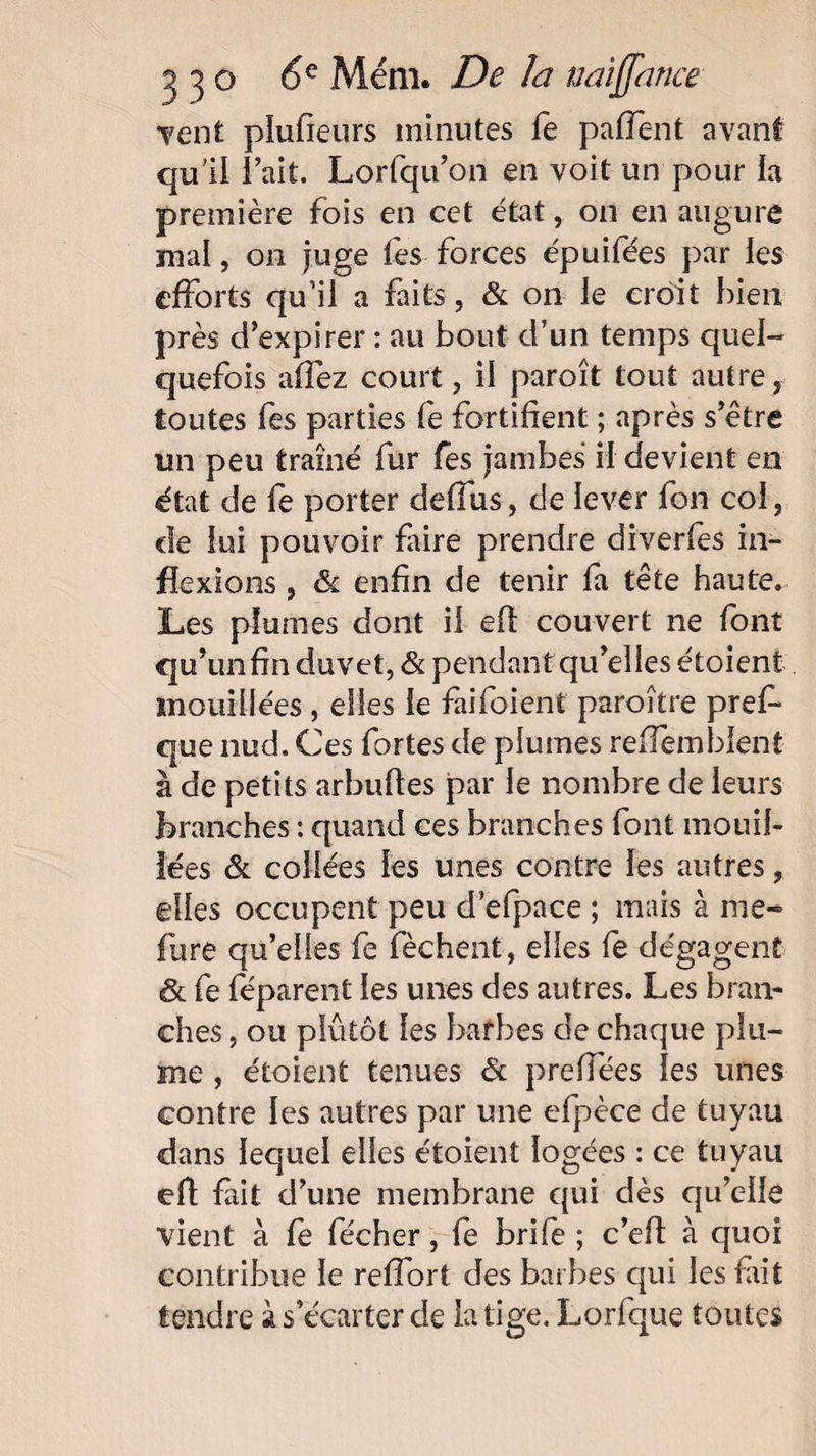 vent plufieurs minutes fe paflent avant qu'il l’ait. Lorfqu’on en voit un pour la première fois en cet état, on en auguré mal, on juge fes forces épuifées par les efforts qu’il a faits , & on le croit bien près d’expirer : au bout d’un temps quel¬ quefois affez court, il paroît tout autre, toutes fes parties fe fortifient ; après s’être un peu traîné fur fes jambes il devient en état de fe porter deffus, de lever fon col, de lui pouvoir faire prendre diverfes in¬ flexions , & enfin de tenir fa tête haute. Les plumes dont il eff couvert ne font qu’un fin duvet, & pendant qu’elles étaient mouillées , elles le faifoient paroître pref* que nud. Ces fortes de plumes reffemblent à de petits arbufles par le nombre de leurs branches : quand ces branches font mouil¬ lées & collées les unes contre les autres, elles occupent peu d’efpace ; mais à me- fure qu’elles fe fèchent, elles fe dégagent & fe féparent les unes des autres. Les bran¬ ches , ou plutôt les barbes de chaque plu¬ me , étoient tenues & preffées les unes contre les autres par une efpèce de tuyau dans lequel elles étoient logées : ce tuyau efi fait d’une membrane qui dès qu’elle vient à fe fécher, fe brife ; c’efl à quoi contribue le reffort des barbes qui les fut tendre à s’écarter de la tige. Lorfque toutes
