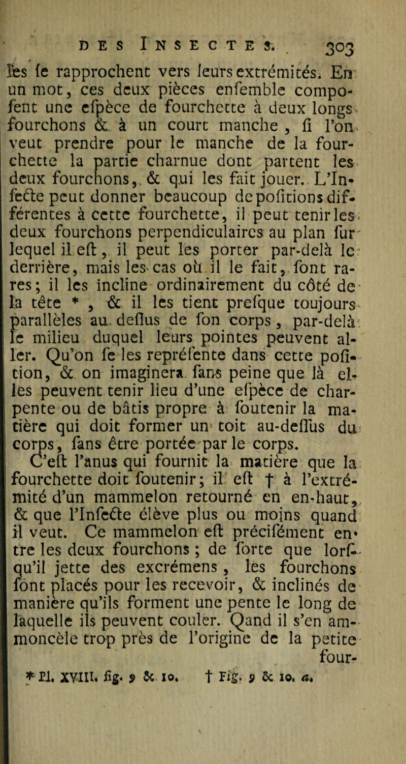 les le rapprochent vers leurs extrémités. En un mot, ces deux pièces enfemble compa¬ rent une efpèce de fourchette à deux longs fourchons &amp;. à un court manche , fi l’on, veut prendre pour le manche de la four¬ chette la partie charnue dont partent les deux fourchons,. &amp; qui les fait jouer. L’In¬ fecte peut donner beaucoup de pofitions dif¬ férentes à cette fourchette, il peut tenir les* deux fourchons perpendiculaires au plan fur lequel il elt, il peut les porter par-delà le derrière, mais les-cas oh il le fait, font ra¬ res; il les incline ordinairement du côté de la tête * , &amp; il les tient prefque toujours parallèles au deflus de fon corps, par-delà le milieu duquel leurs^ pointes peuvent al¬ ler. Qu’on fe les repréfente dans cette poli- tion, &amp; on imaginera fans peine que là el¬ les peuvent tenir lieu d’une efpèce de char¬ pente ou de bâtis propre à foutenir la ma¬ tière qui doit former um toit au-delfus du corps, fans être portée parle corps. C’eft l’anus qui fournit la matière que la fourchette doit foutenir; il eft f à l’extré¬ mité d’un mammelon retourné en en-haut, &amp; que l’Infe&amp;e élève plus ou moins quand il veut. Ce mammelon eft précifément en» tre les deux fourchons ; de forte que lors¬ qu’il jette des excrémens, les fourchons font placés pour les recevoir, &amp; inclinés de manière qu’ils forment une pente le long de laquelle ils peuvent couler. Qand il s’en am- moncèle trop près de l’origine de la petite four- ? Pi, XVIII* fig. 9 &amp; 10. t Fig. 9 &amp; 10. a.