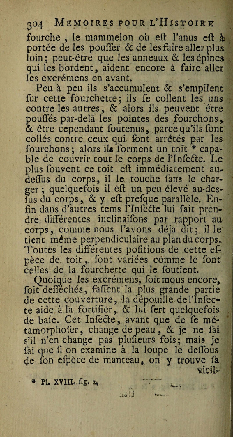 fourche , le mammelon oh eft l’anus eft à portée de les pouffer 6c de les faire aller plus loin; peut-être que les anneaux 6c les épines qui les bordent, aident encore à faire aller les excrémens en avant. Peu à peu ils s’accumulent 6c s’empilent fur cette fourchette; ils fc collent les uns contre les autres, 6c alors ils peuvent être pouffés par-delà les pointes des fourchons, 6c être cependant foutenus, parce qu’ils font collés contre ceux qui font arrêtés par les fourchons ; alors il* forment un toit * capa¬ ble de couvrir tout le corps de l’Infeéie. Le plus fouvent ce toit effc immédiatement au- deffus du corps, il le touche fans le char¬ ger ; quelquefois il eft un peu élevé au-des- lus du corps, 6c y eft prefque parallèle. En¬ fin dans d’autres tems l’Infe&amp;e lui fait pren¬ dre différentes inclinaifons par rapport au corps, comme nous l’avons déjà dit; il le tient même perpendiculaire au plan du corps.. Toutes les différentes pofitions de cette efi pèce de toit, font variées comme le font celles de la fourchette qui le foutient. Quoique les excrémens, foitmous encore, foit defféchés, faffent la plus grande partie de cette couverture, la dépouille del’Infec* te aide à la fortifier,. 6c lui fert quelquefois de baie. Cet Infeéle, avant que de fe mé- tamorphofer, change de peau, 6c je ne fai s’il n’en change pas plufieurs fois; mais je fai que fi on examine à la loupe le deffous de Ion cfpèce de manteau, on y trouve fa vieil? * fl. xviii. ...